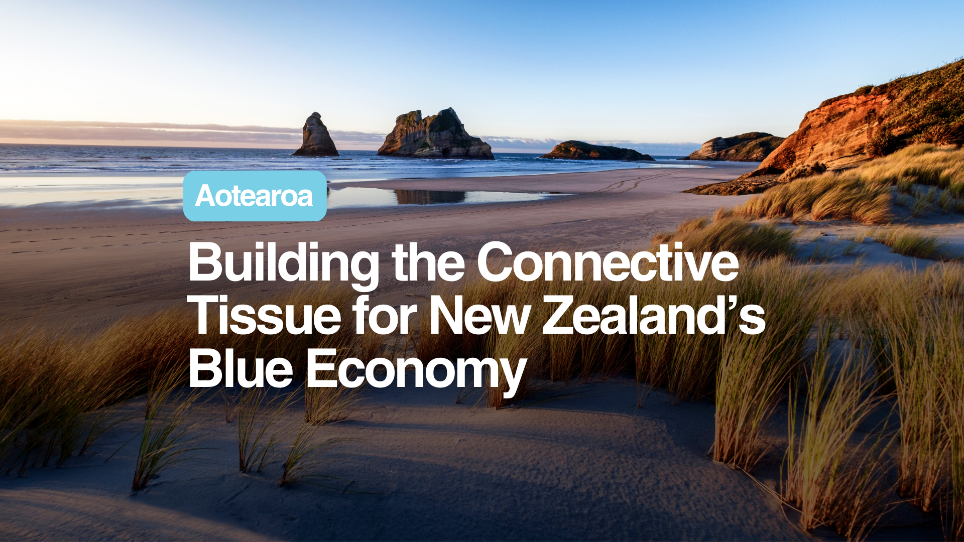 Building the Connective Tissue for New Zealand’s Blue Economy — Ocean ...
