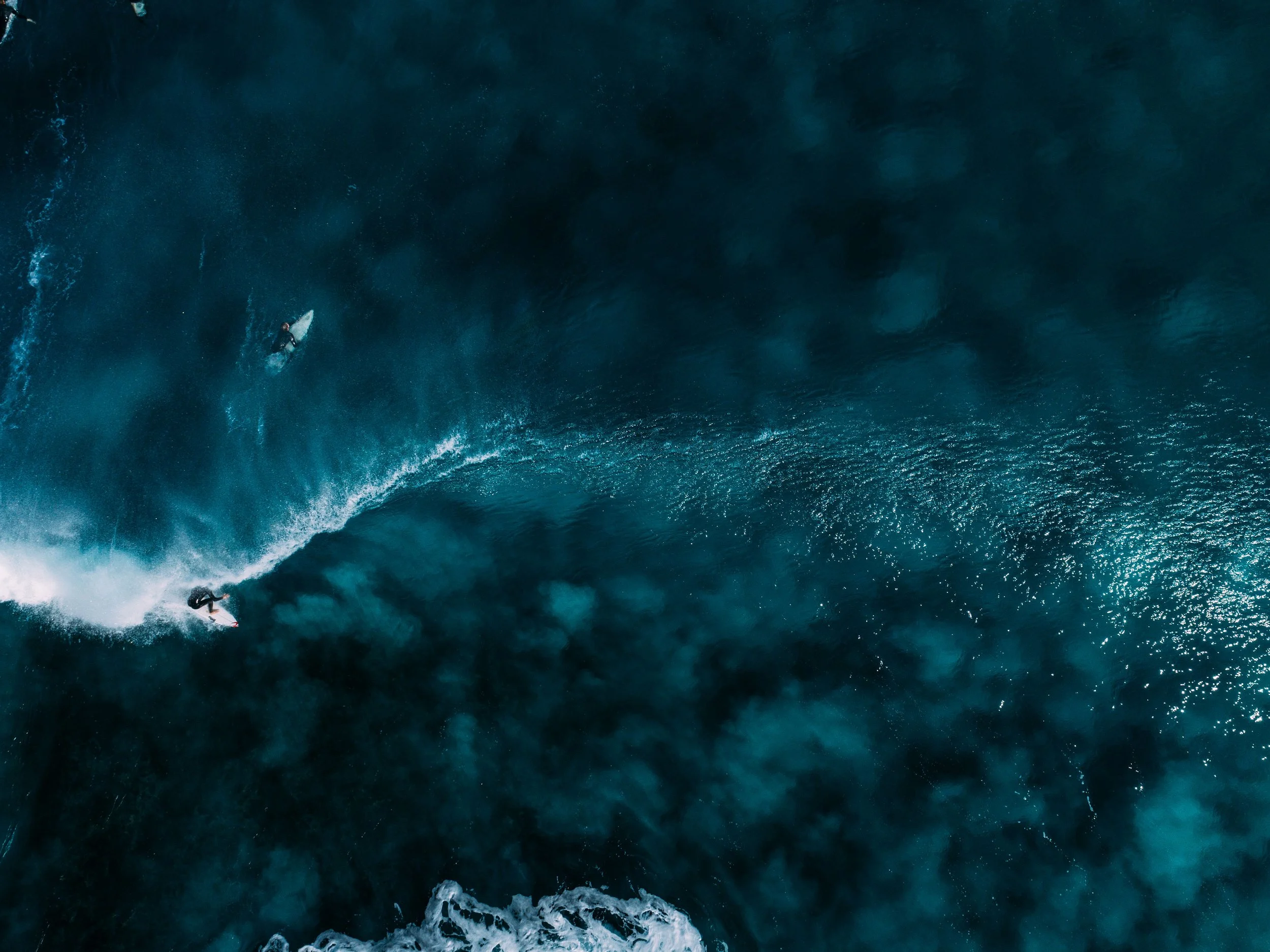 Ocean Impact Accelerator Program 2024 — Ocean Impact Organisation