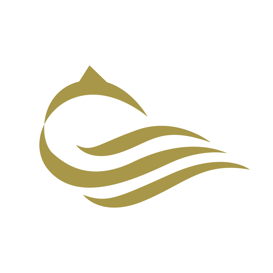 cer-dark-transparent icon.png