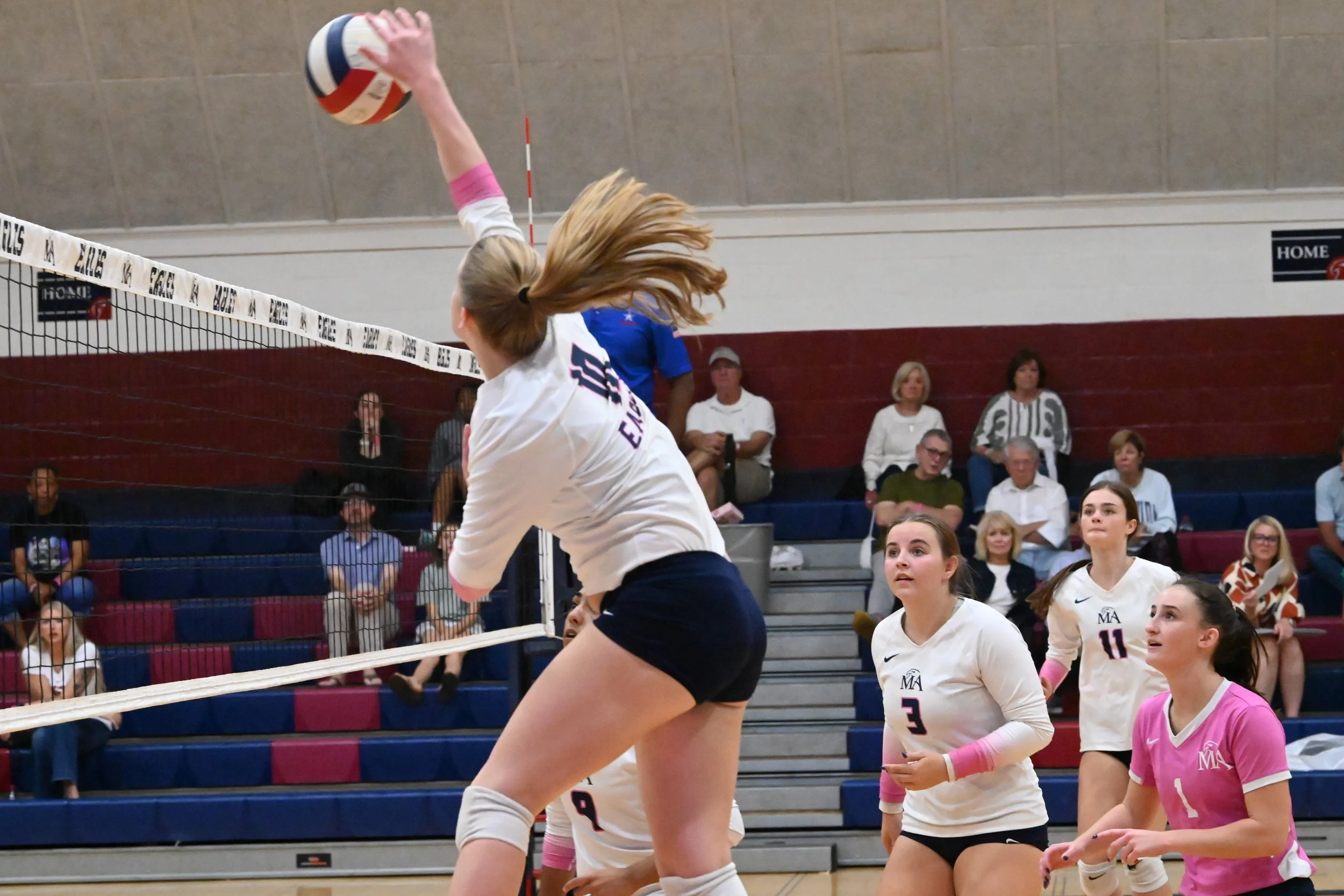 MA Morgan Springer with kil