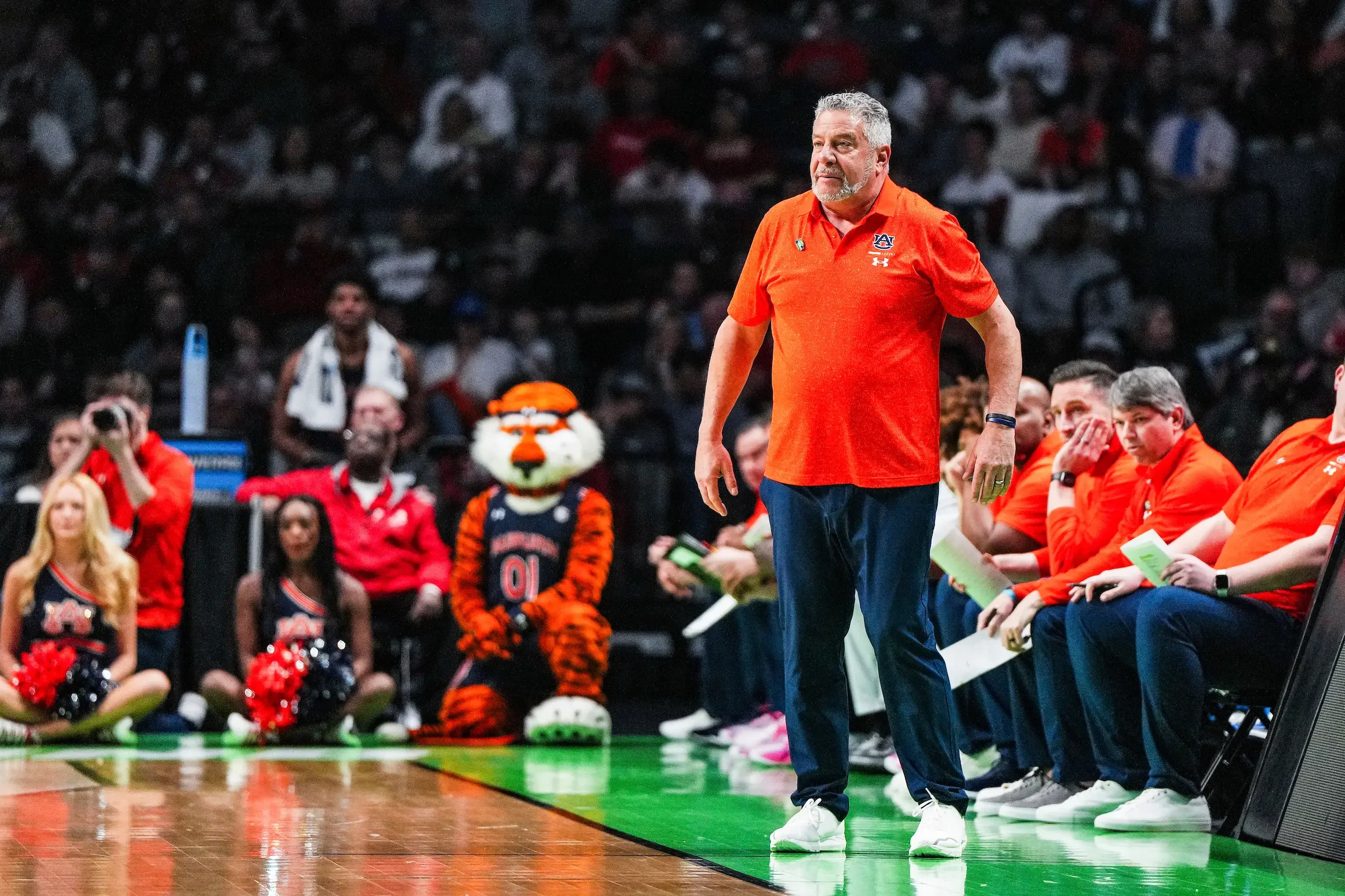 AU 25MBB bruce pearl.webp