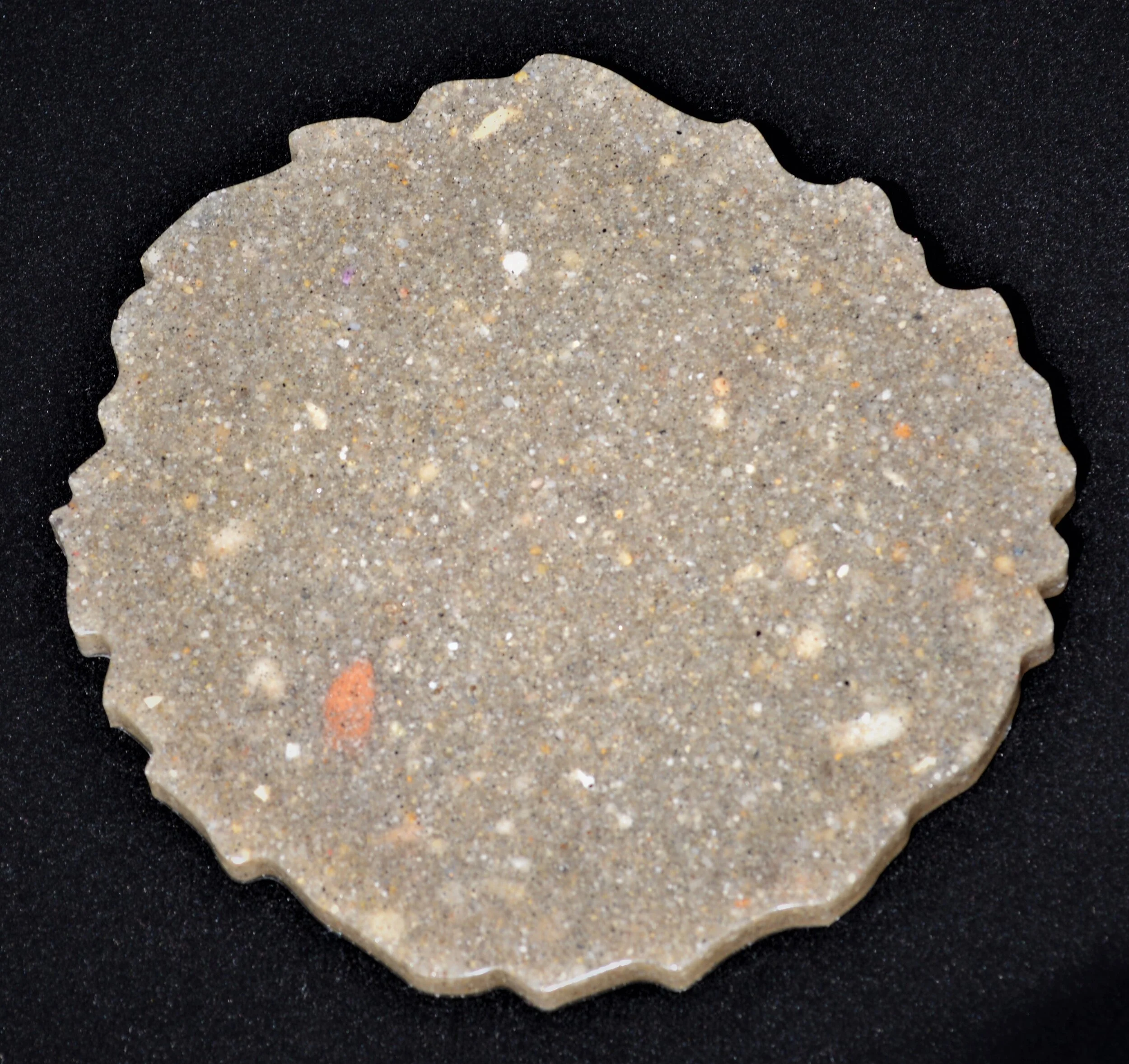 Cape May NJ coaster.JPG