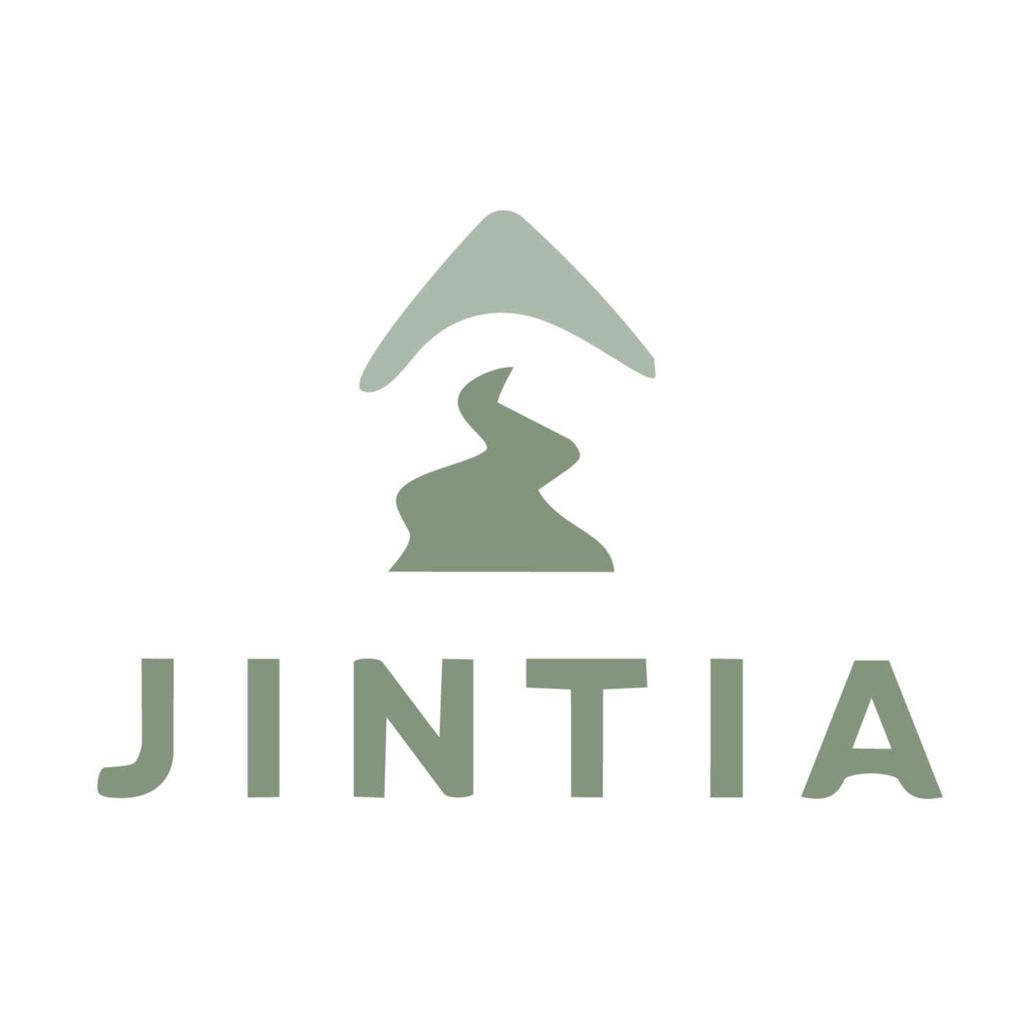 Jintia