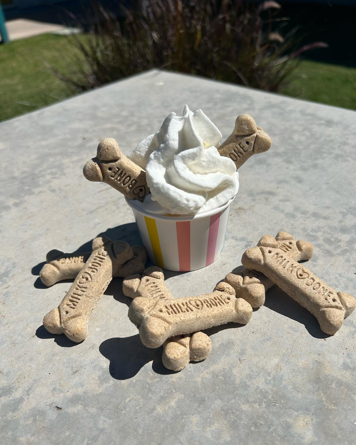 Happy National Pet Day! 

Give your furry pet a sweet treat today located in our leasing office today! We are offering Pup cups with whip cream and dog treats. Or we could give out cups of whip cream! Come while supplies last!