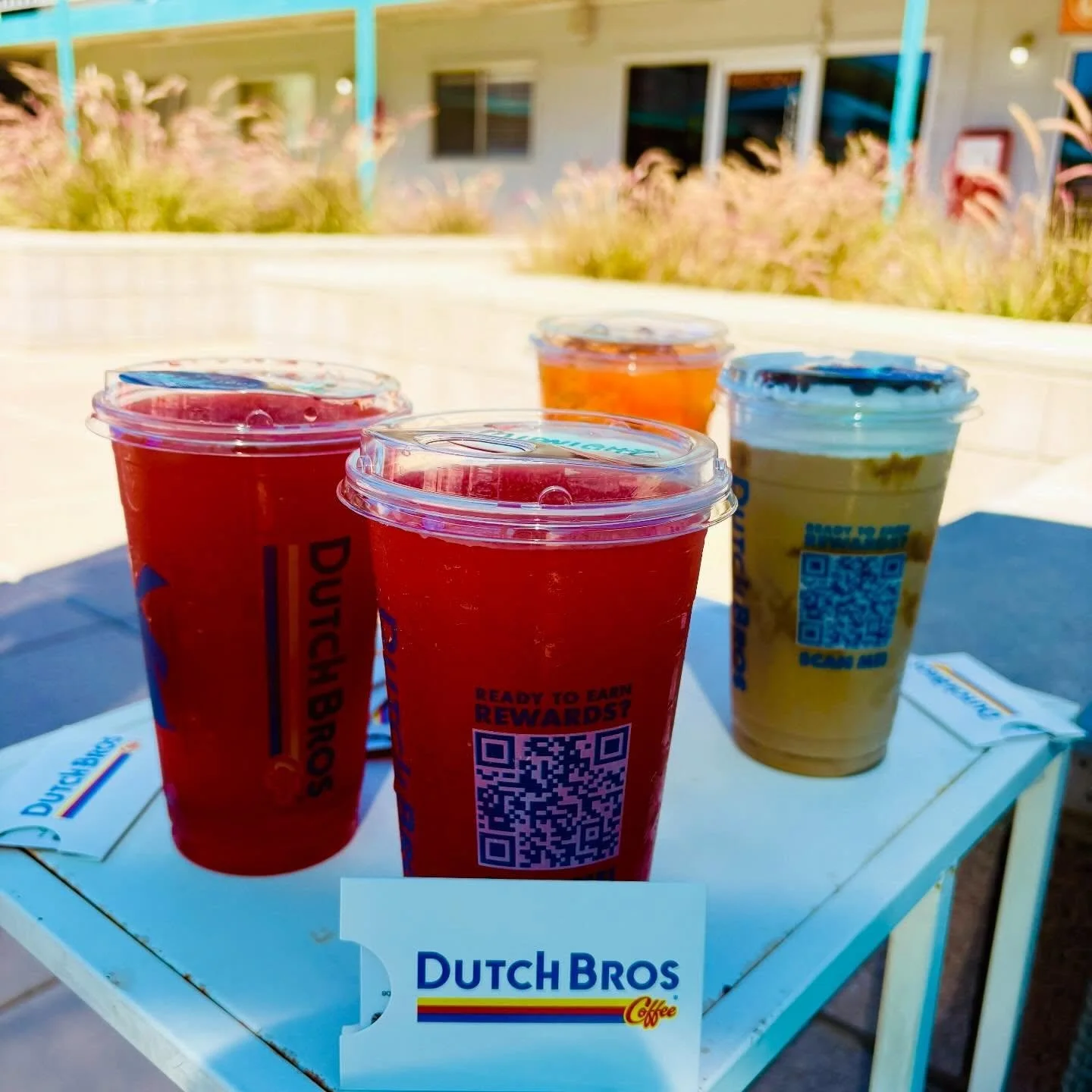Hello welcome to a Spring Edition of Thirsty Thursday!☀️☕️

Today we will be giving out $10 gift cards to @dutchbrosarizona to the first 10 people who like and comment the answer to the following question: 
It&rsquo;s spring!

Which plant is known fo