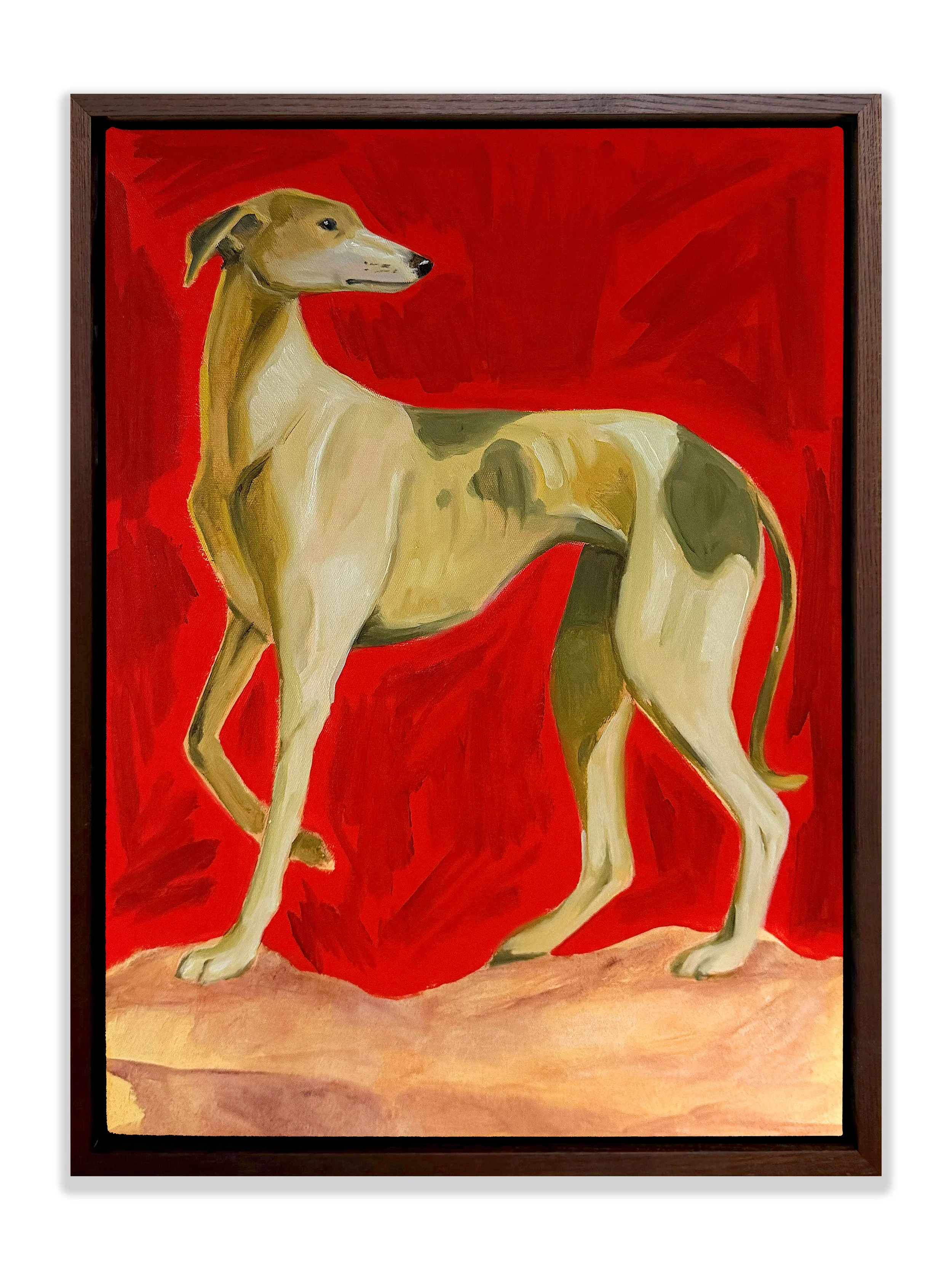 JUSTINE McALLISTER, 
Hound Study, 2026,
Oil on canvas framed in walnut,
40 x 30cm,
$750 