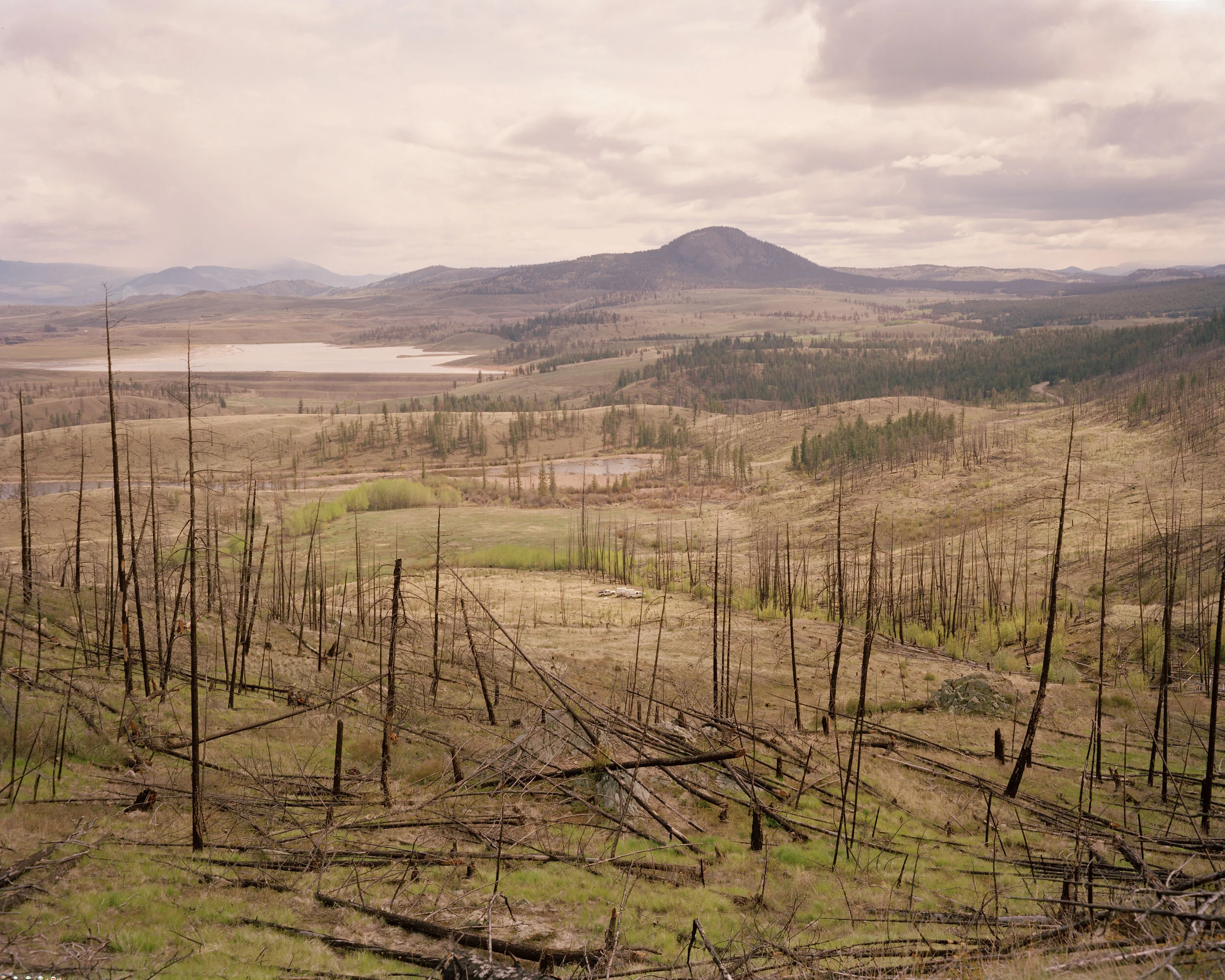  The site of a forest fire near Kamloops, British Columbia is replanted by a reforestation company. 