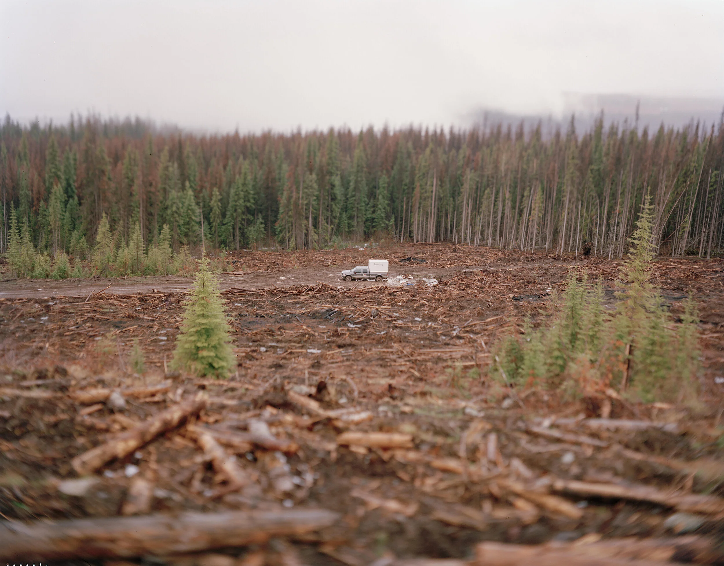  A reforestation vehicle in a clearcut near Kamloops, British Columbia, Canada. 