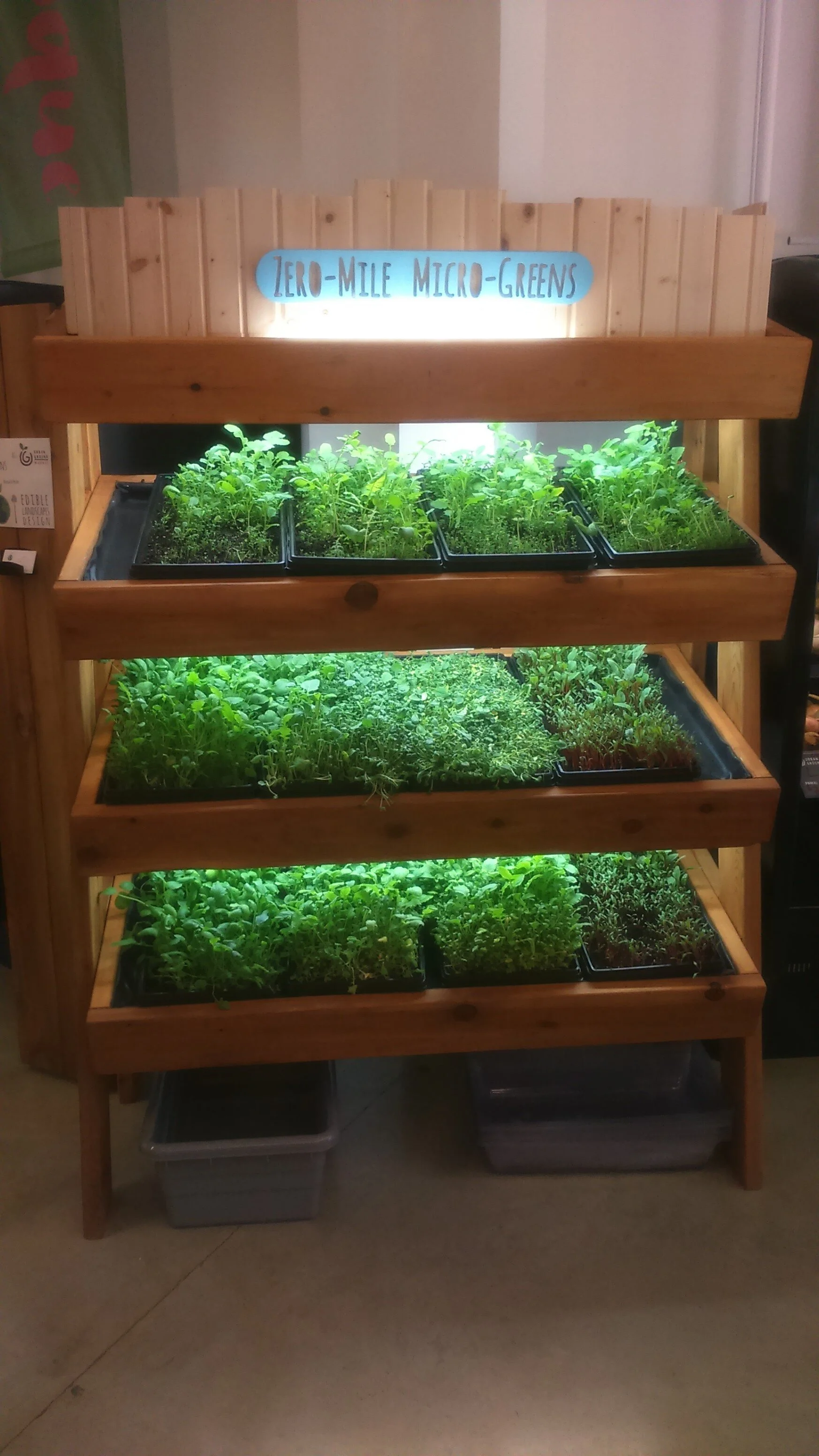 Growing Groceries Indoors
