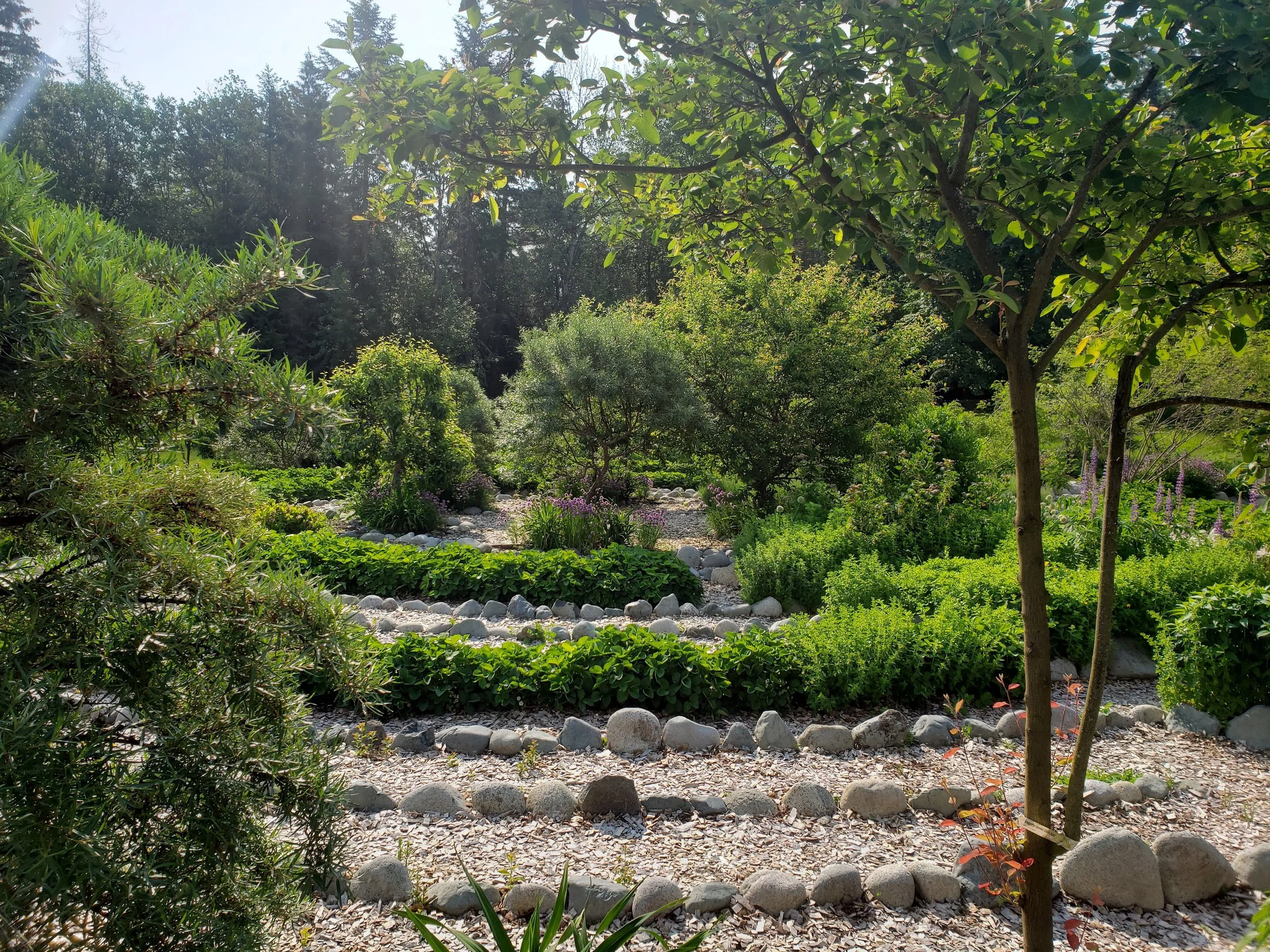 Foodscaping Our Future: Edible Landscapes For Everyone