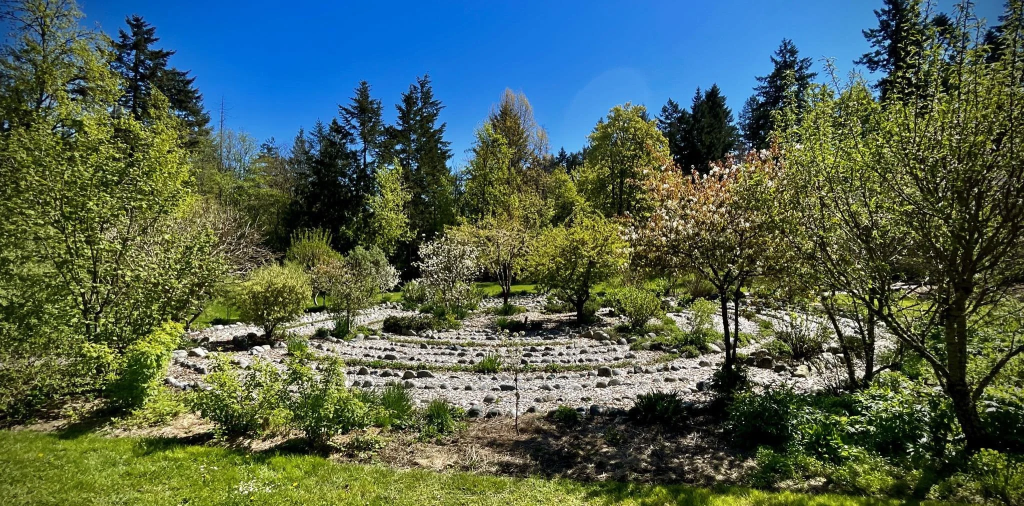 10 Insights from 10 Years of Edible Landscaping