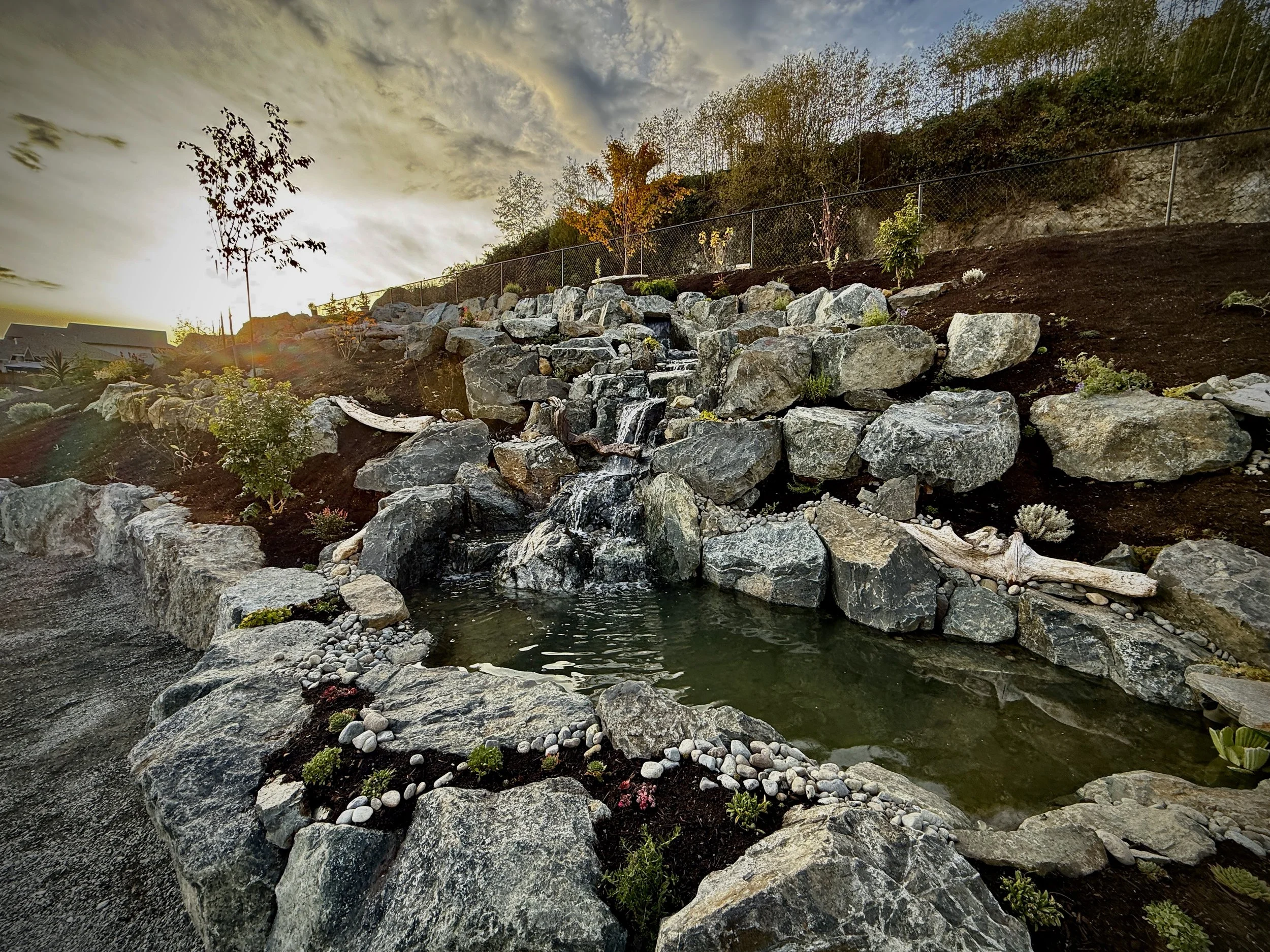 edible-landscaping-waterfall-project-sunset-wider.jpg