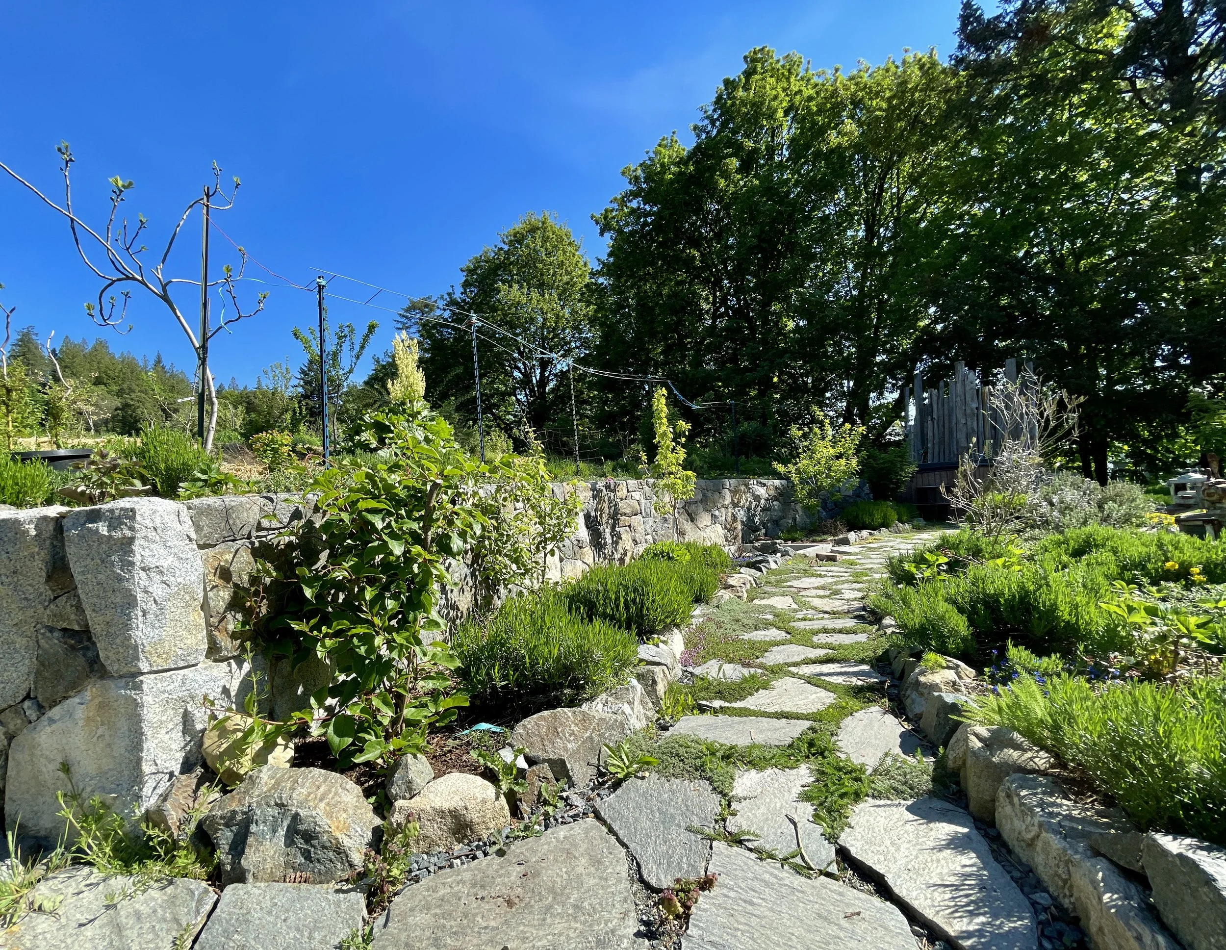 food-forest-farm-mediterranean-stone-path.jpg