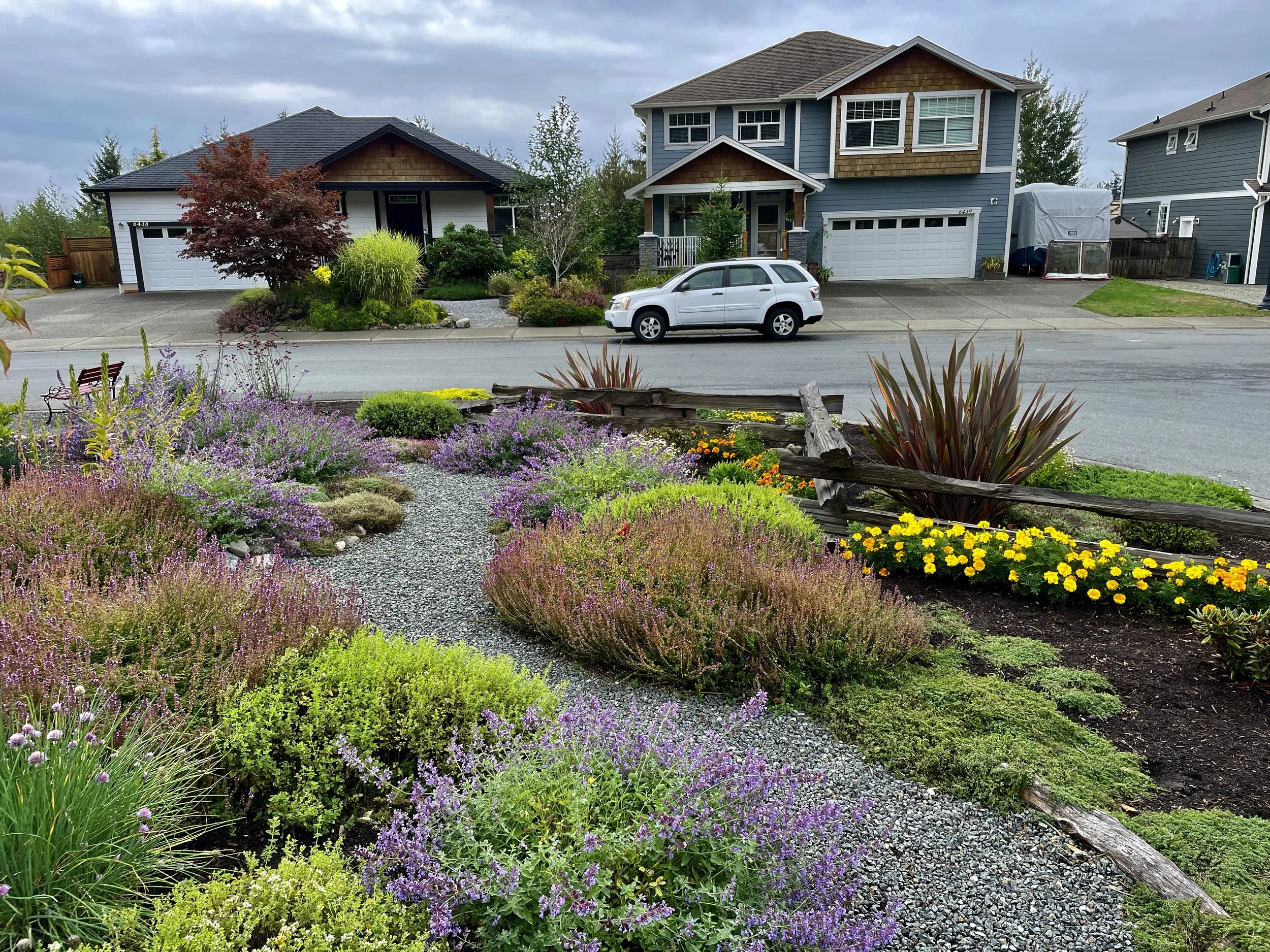 Clarity Comes Before Abundance