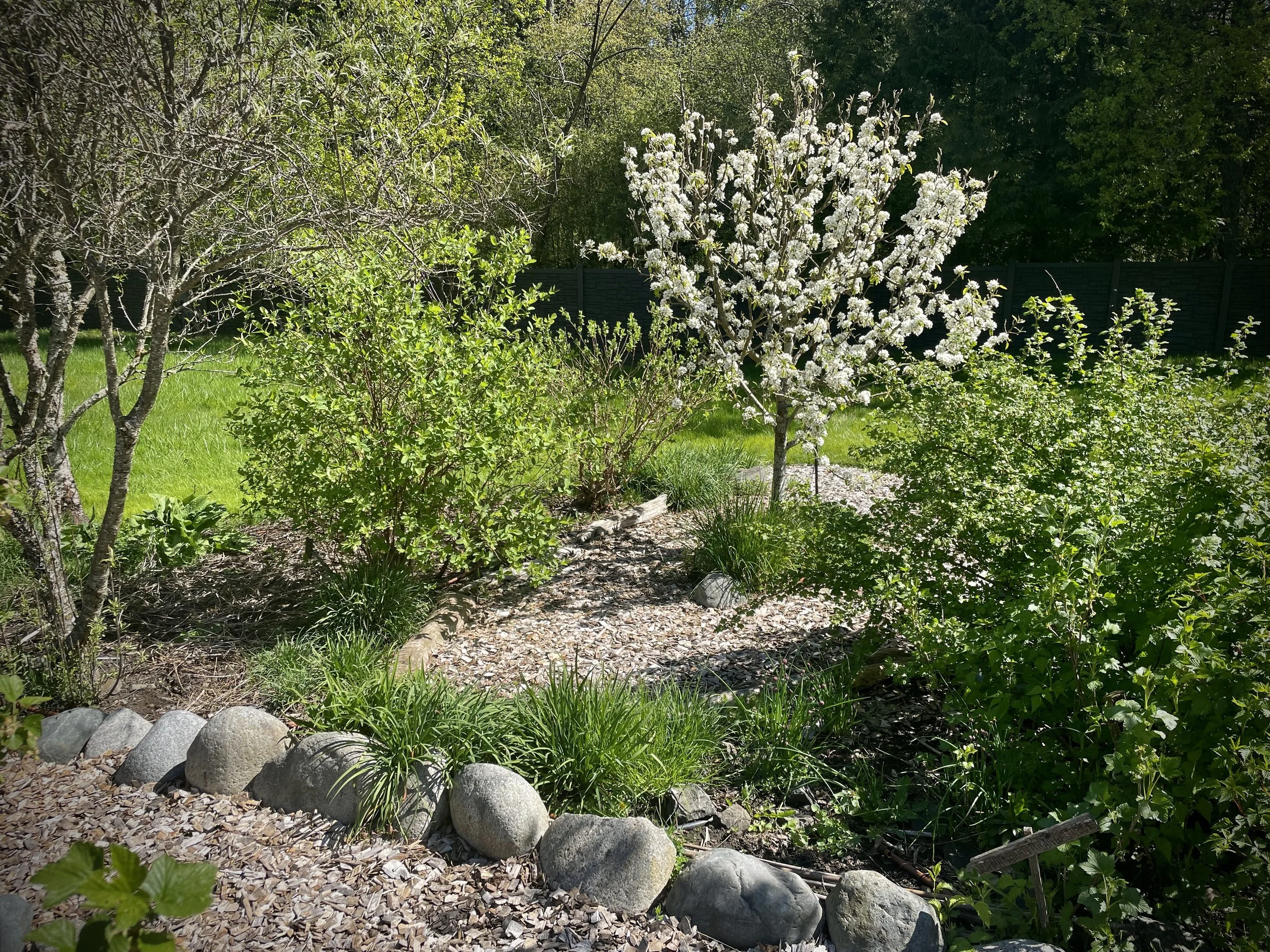 Spring Garden Care (Prepare to Thrive)