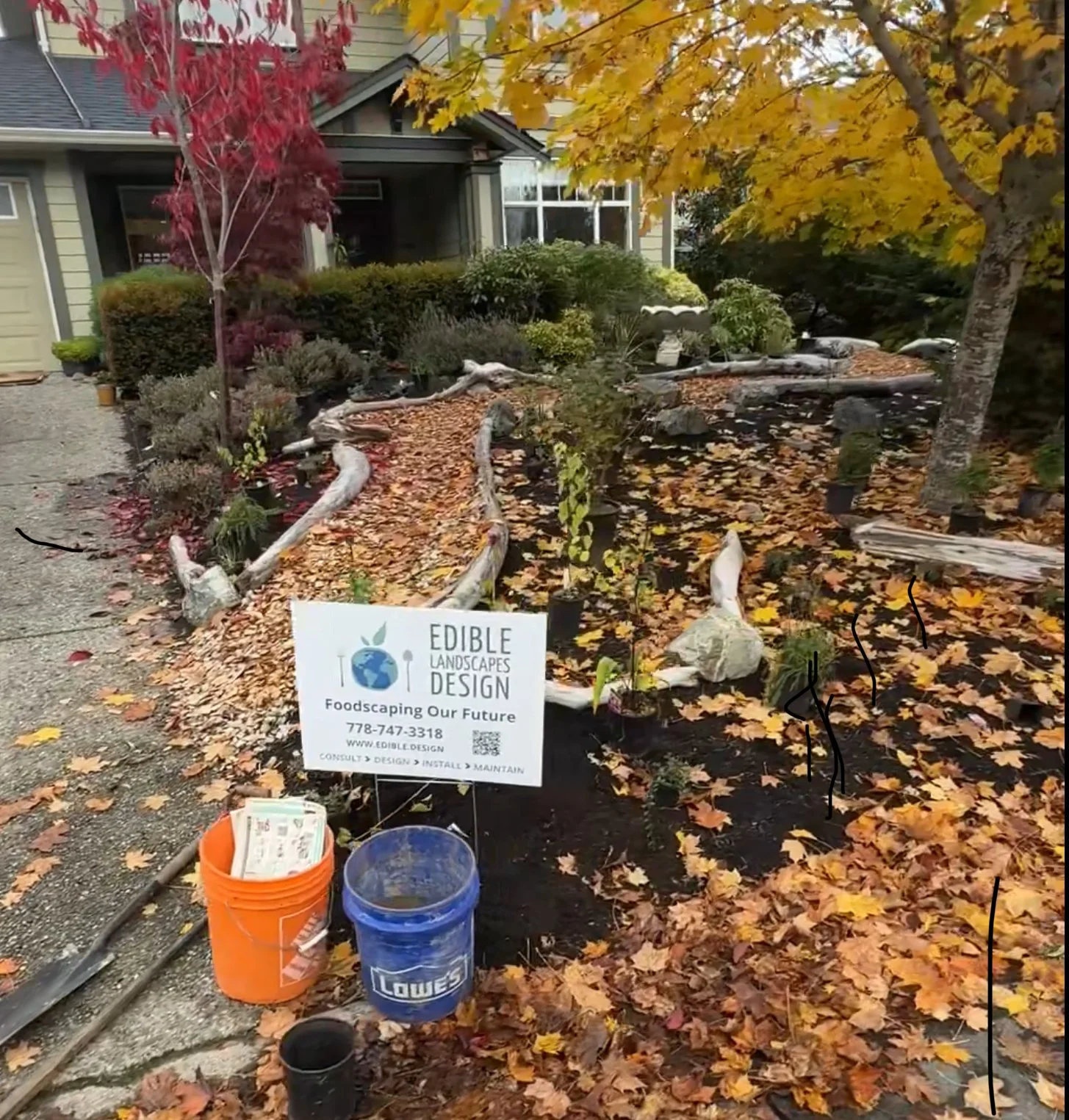 Fall Garden Care (Give Back &amp; Prepare)