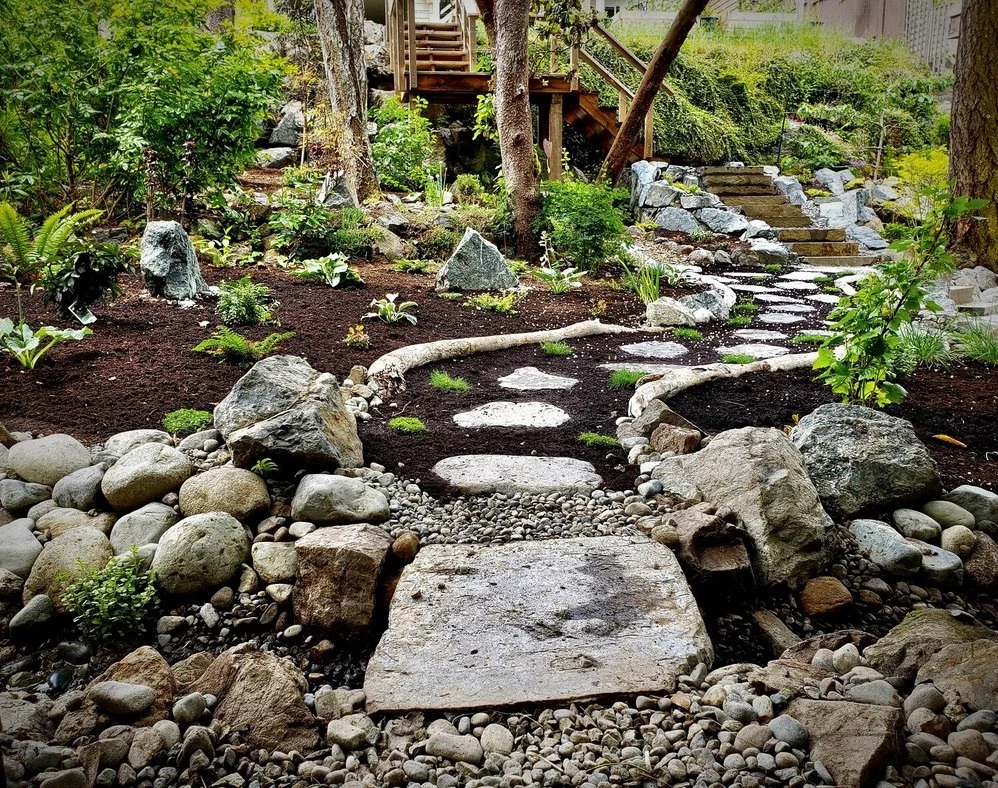 Naturalistic woodland garden with boulders, stepping stones, mature trees and layered planting