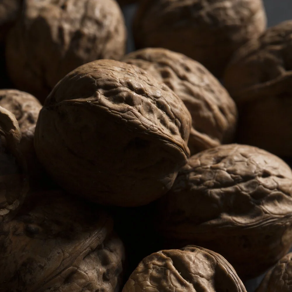 walnut.jpeg