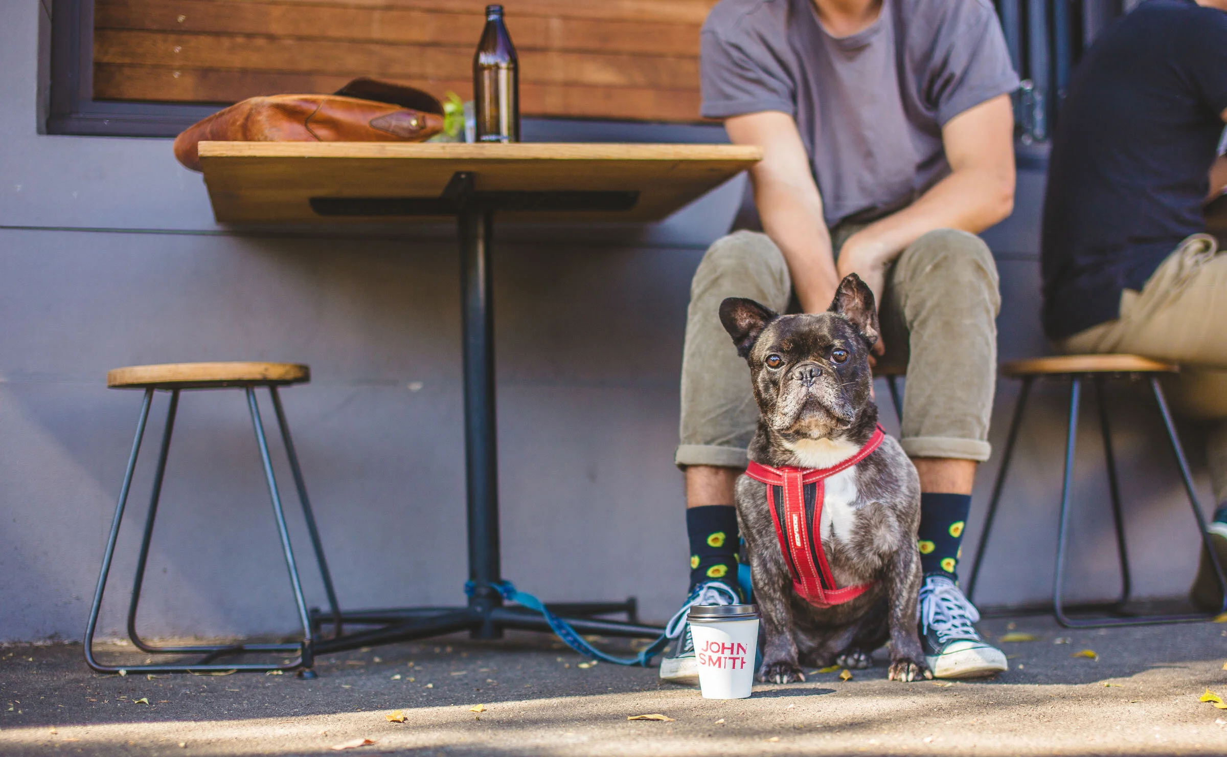 26_Food_Cherihan Photography_Cafe_Dog_Patio.jpg