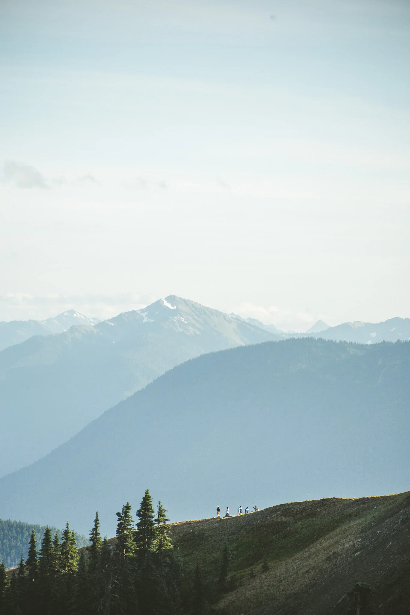 22_Landscape_Cherihan_Photography_Olympic_National_Park_Hurricane_Ridge.jpg