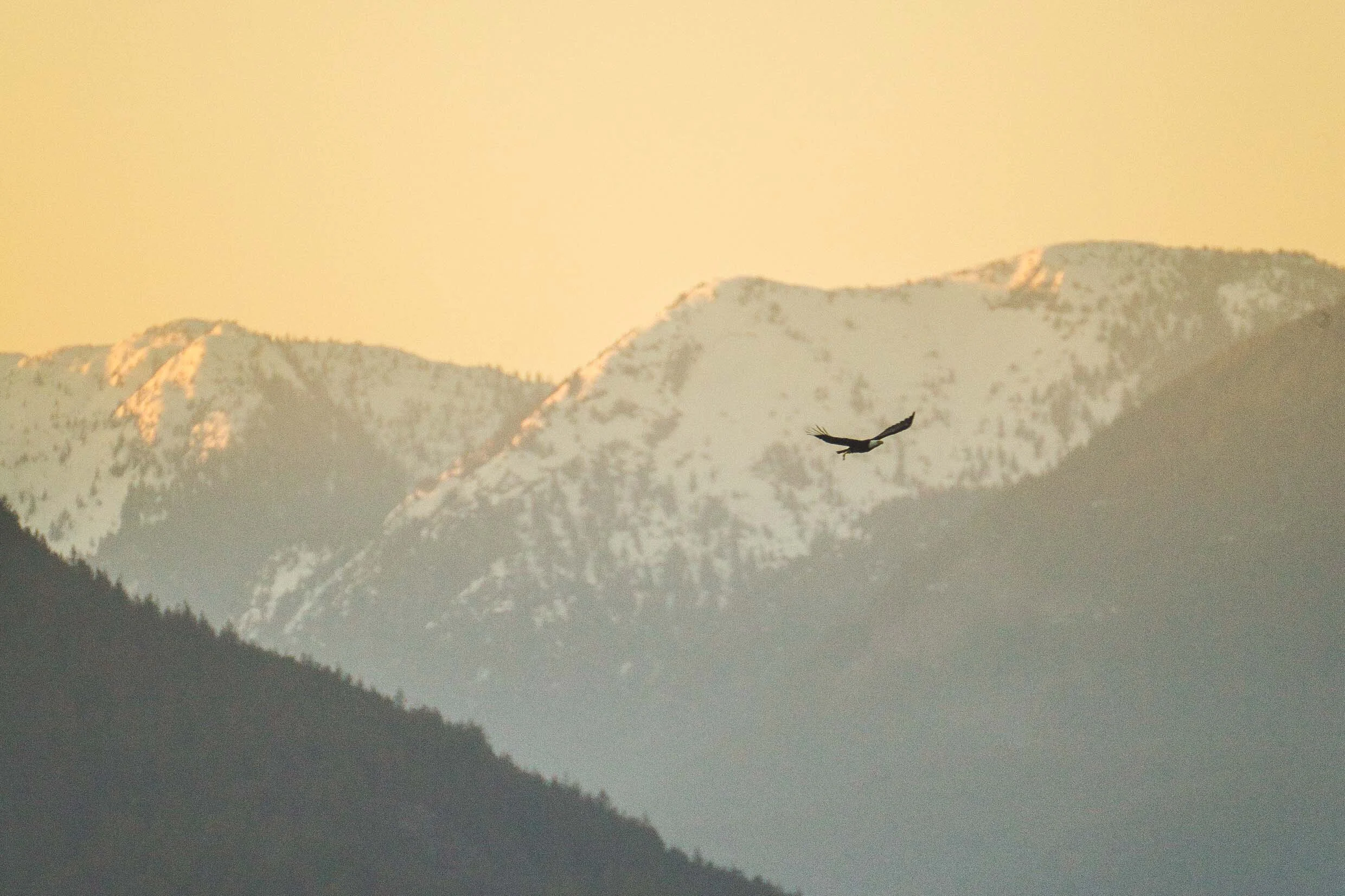 36_Landscape_Cherihan Photography_Eagle_Mountains_Whytecliff_Park_British_Columbia_Canada.jpg