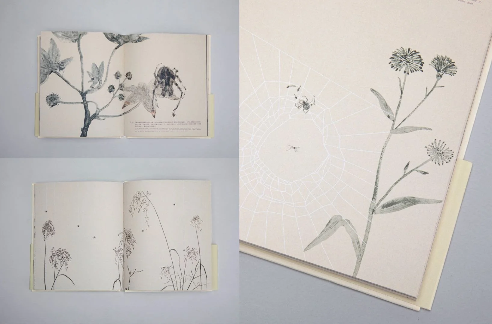 Zhu Yingchun - Spider 2.jpeg