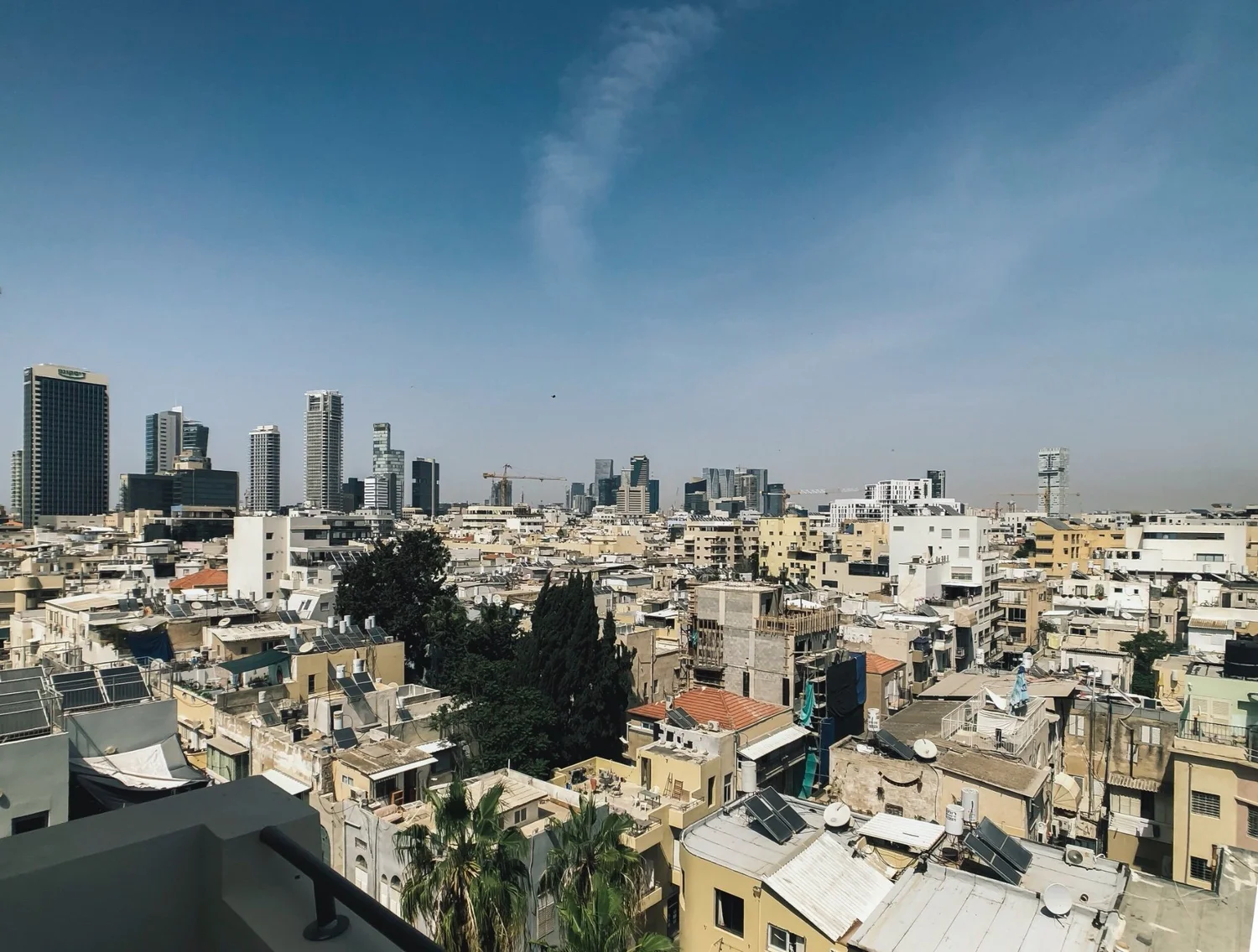 פלורנטין