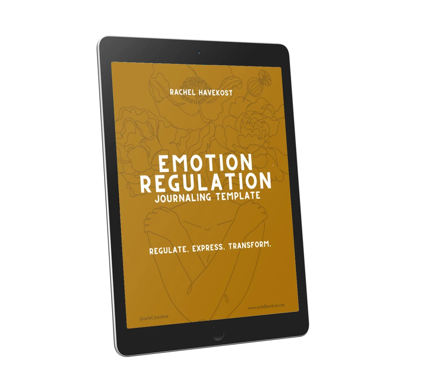 Emotion Regulation Ebook cover.jpeg