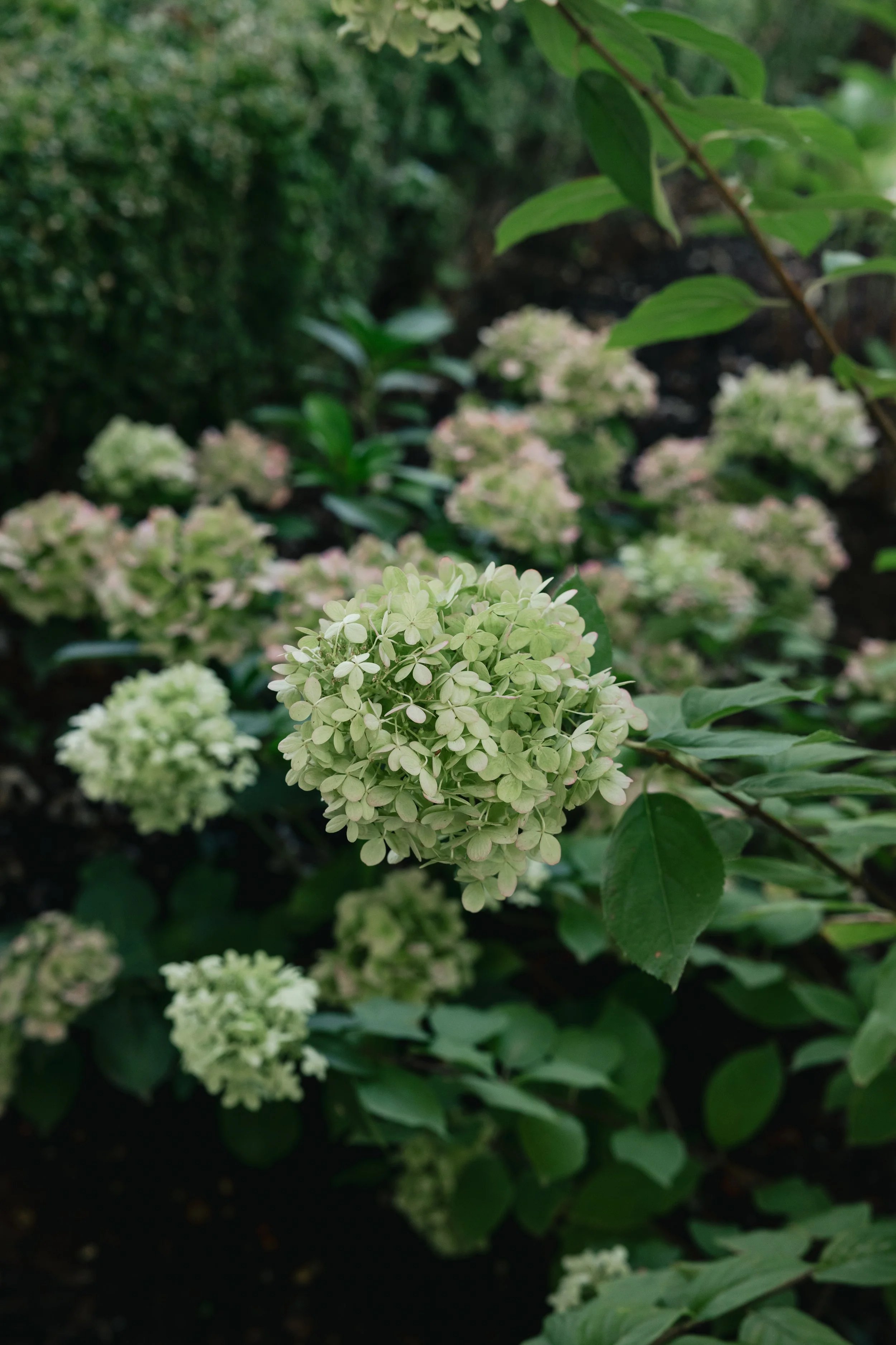 Kara Langley Photography-1273.JPG