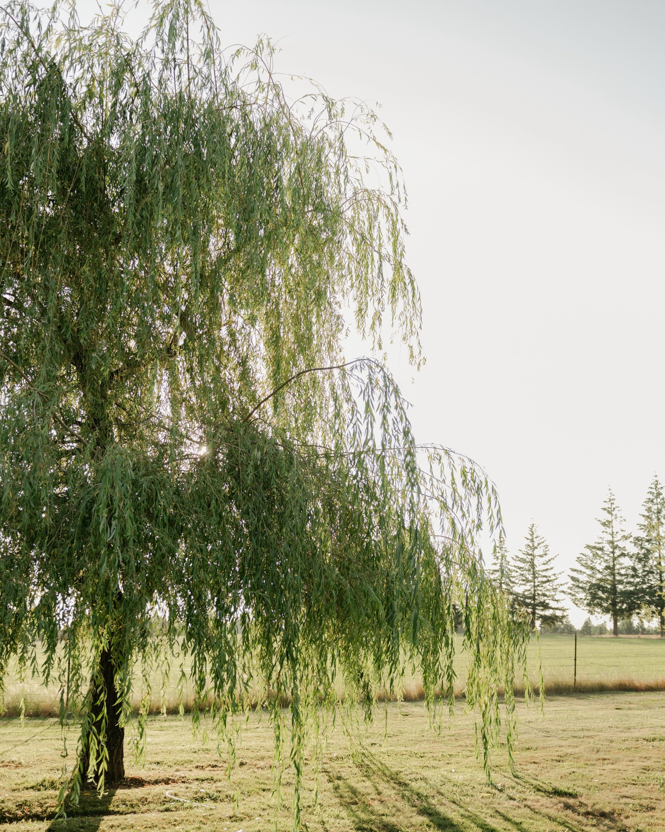 2026 Wedding Trends: Ideas Shaping Modern Weddings