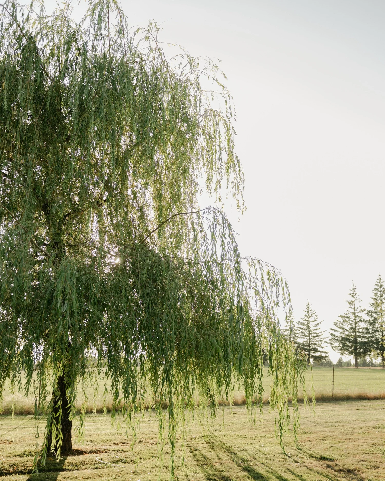 2026 Wedding Trends: Ideas Shaping Modern Weddings