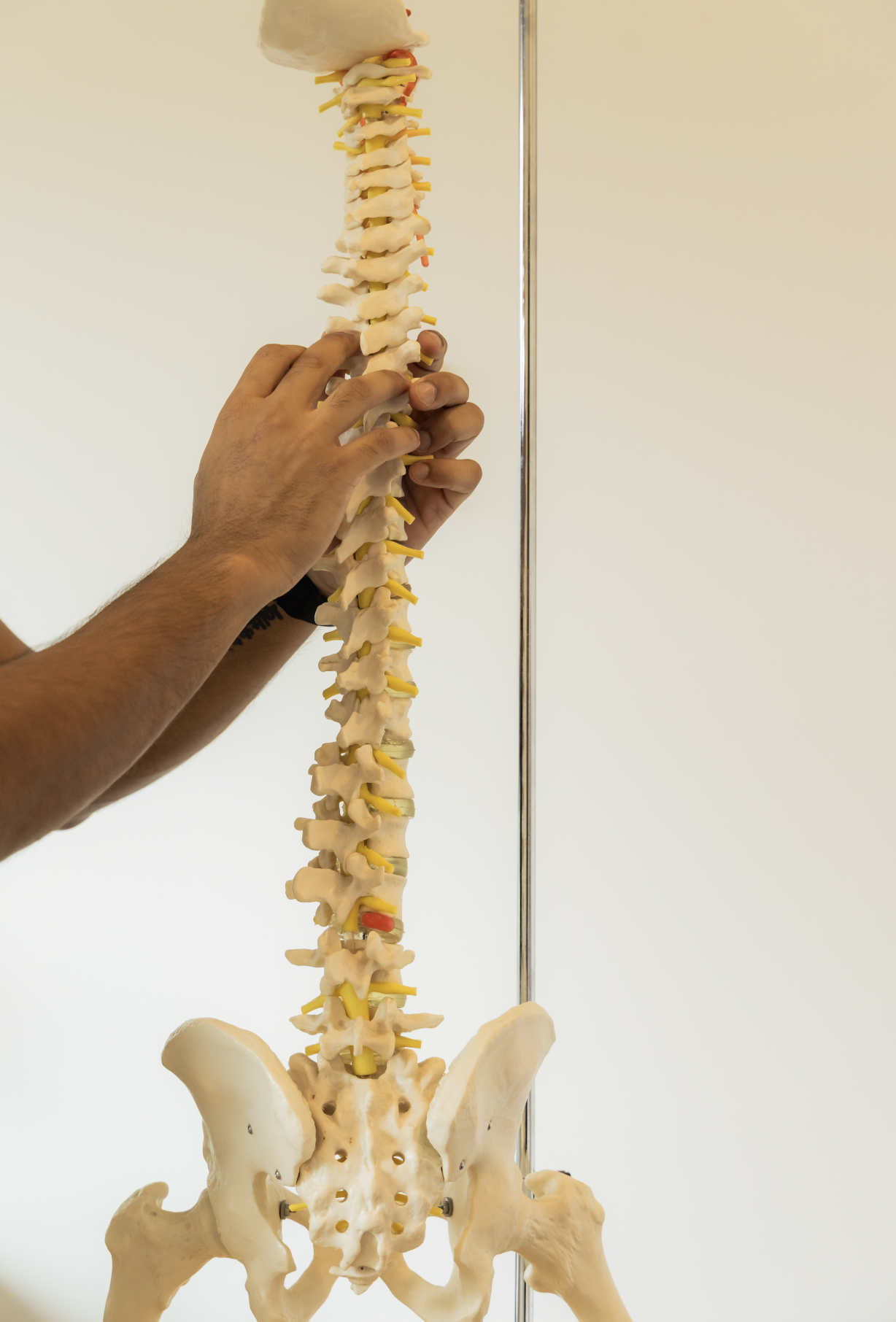 physio treatment session sydney