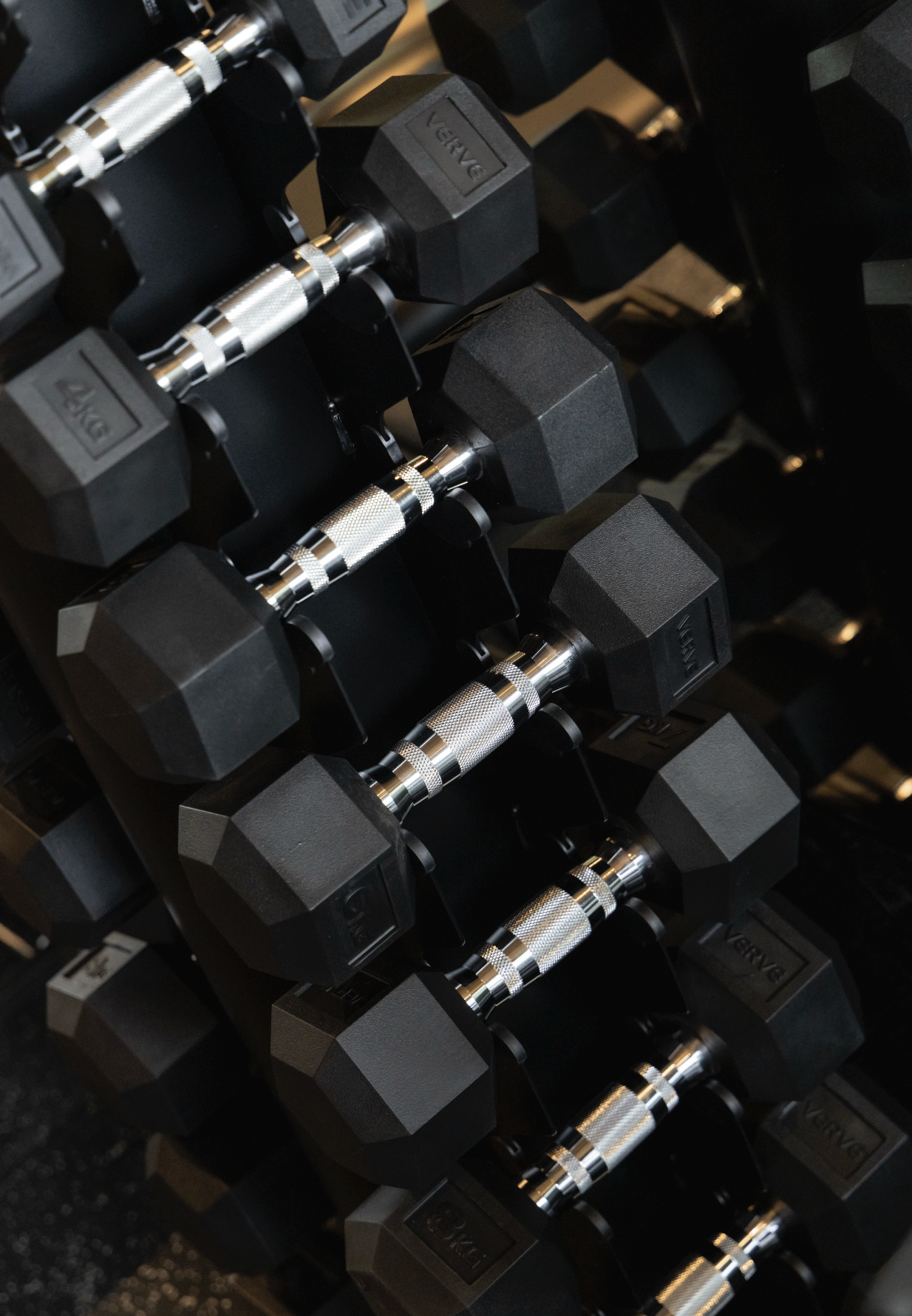 physio clinic content creation sydney