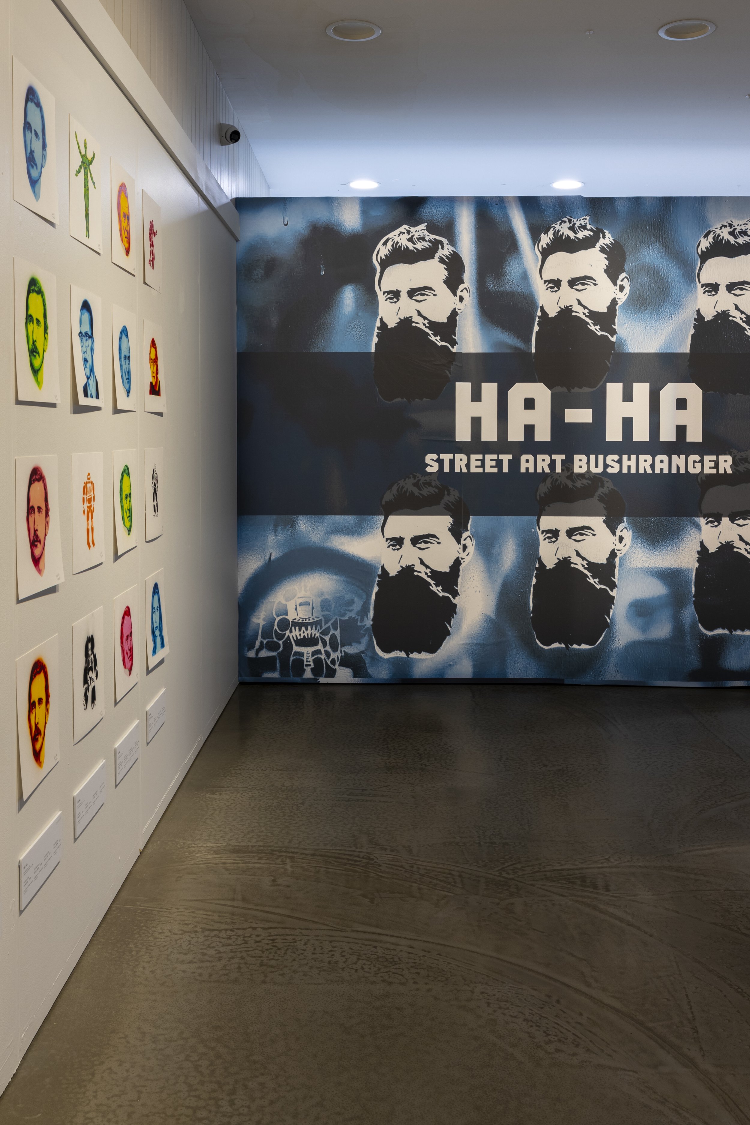 Street art Bushranger gallery shot