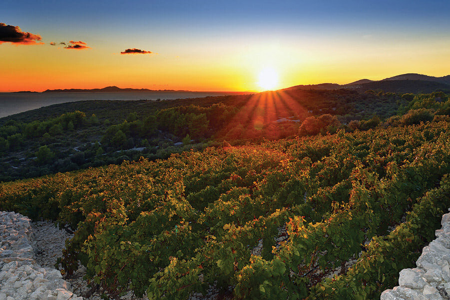 Bire Winery - Wine Tales of Korčula &amp; Pelješac