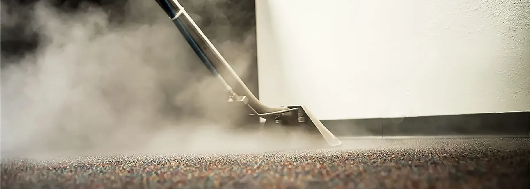 Carpet Cleaning San Jose CA Dalux Carpet Cleaning
