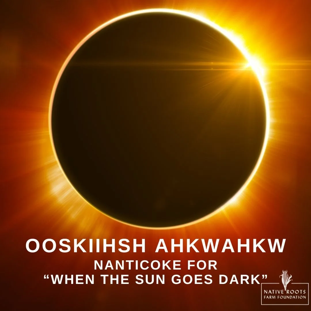 Ooskiihsh ahkwaahkw (Eclipse)
