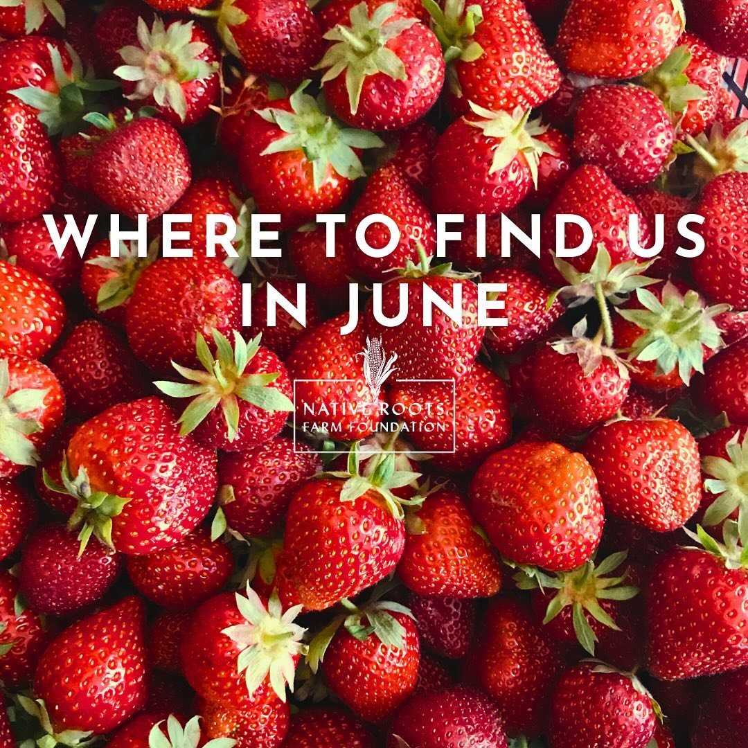 Before your June calendar fills up, make sure you add these fun NRFF events to your weekends!

🍓🍓THIS WEEKEND! Celebrate the flowers of Tehim (Lenape for Strawberry) and create a beadwork representation of this blooming beauty. This hands-on, fun, 