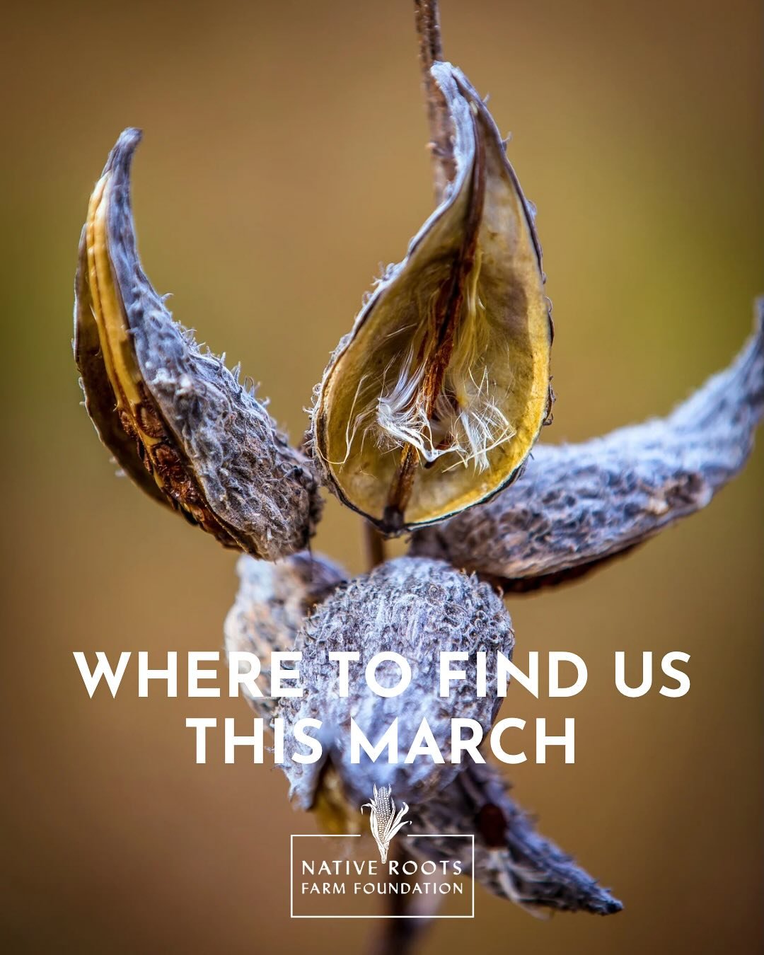 We&rsquo;re starting our 2025 season right now! And the NRFF team is excited to reconnect with our community throughout Turtle Island. 

🌟 March 6-7: Help us raise $2,400 in 24 hours! From March 6th at 6pm - March 7th at 6pm, NRFF is participating i