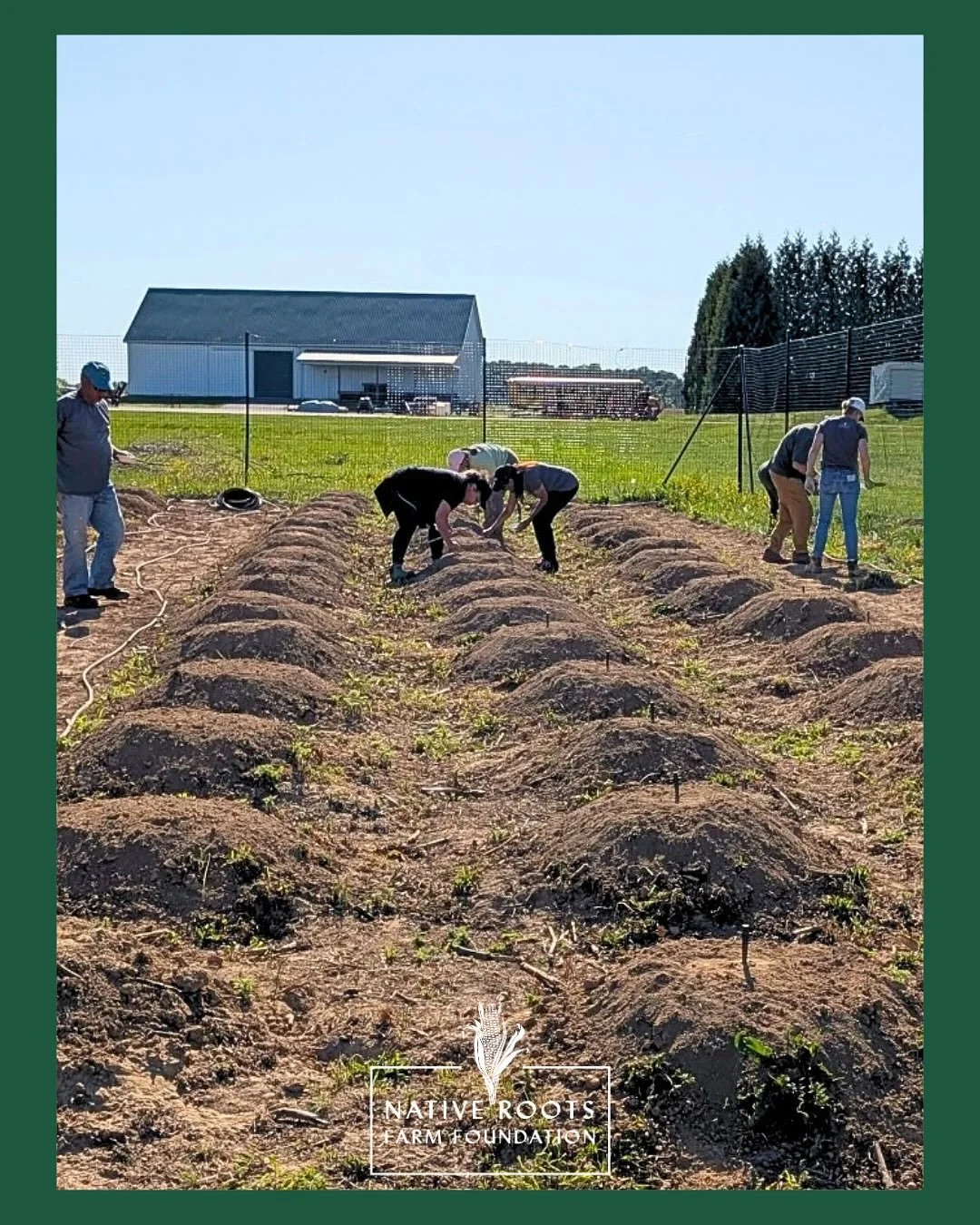 We haven&rsquo;t been online recently &ndash; because we&rsquo;ve been busy in The Three Sisters Garden!

We began the 2025 season in April with tribal members and community partners praying for the garden, building relationships, and sowing Lenape a