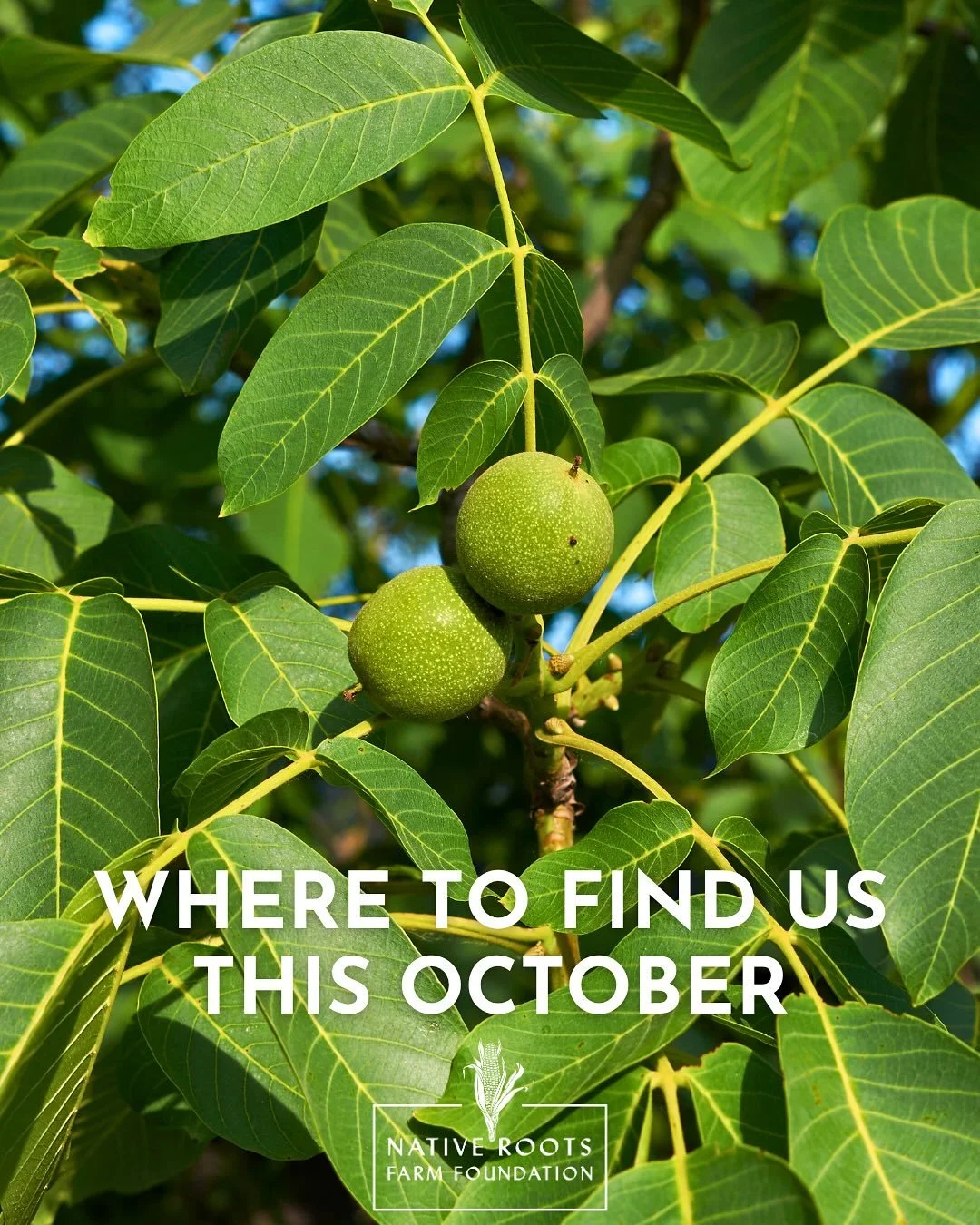 We&rsquo;re ushering in these beautiful fall days with you &ndash; outdoors and in community! You can show up and support NRFF in multiple ways this month:

⭐ October 10-13: Help us raise $10,000 during our annual Indigenous Peoples&rsquo; Day campai
