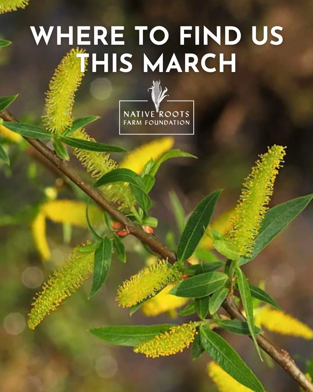 We&rsquo;re starting NRFF&rsquo;s 2026 programming this week and chasing away the Winter blues!

🎨March 14th: Join us at @brooklynbotanic for Making Brooklyn Bloom, the BBG&rsquo;s free, annual Spring conference. At 11am and 1:30pm, NRFF is highligh