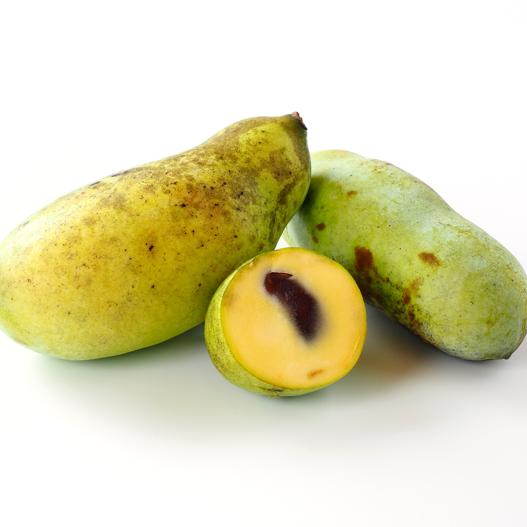 Pawpaw fruit sliced open