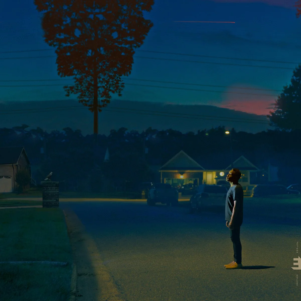 Kinfolk 2: See the Birds, 2021