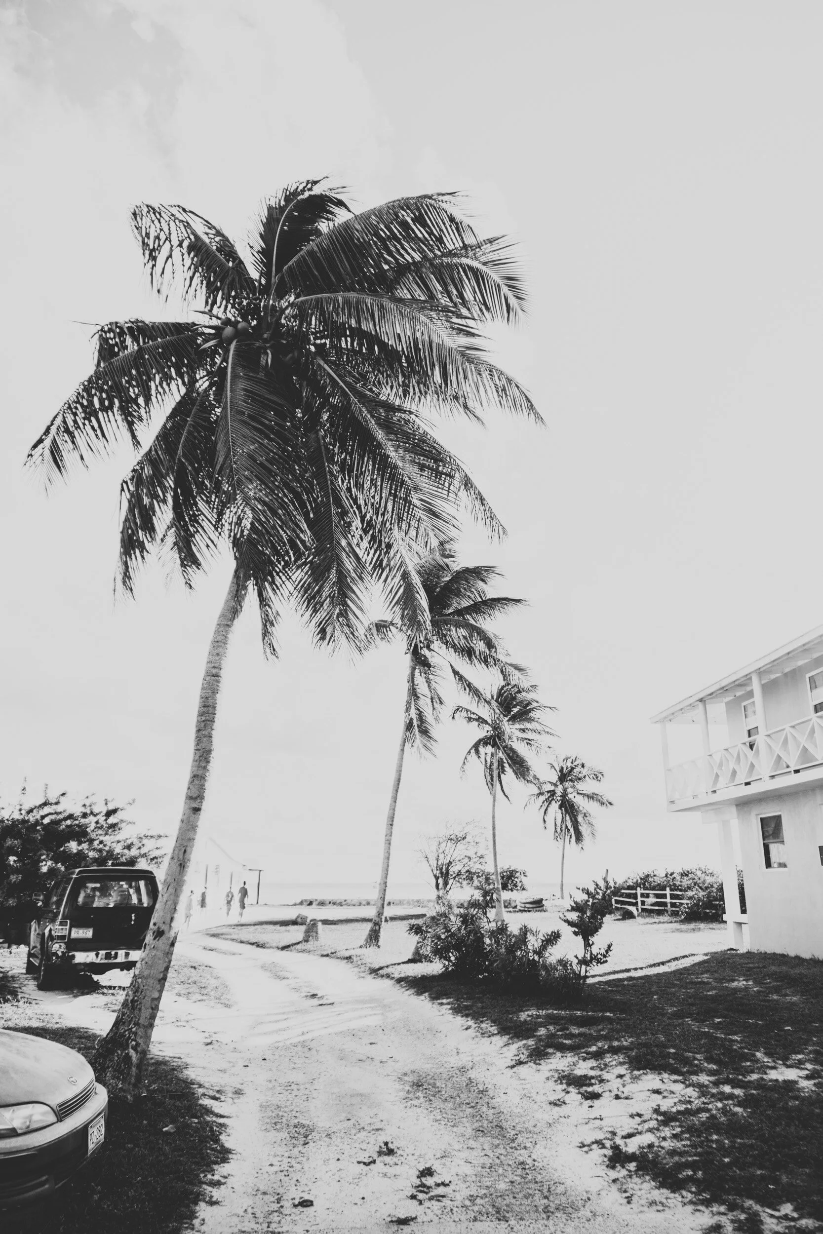 DSC01146-2.jpg