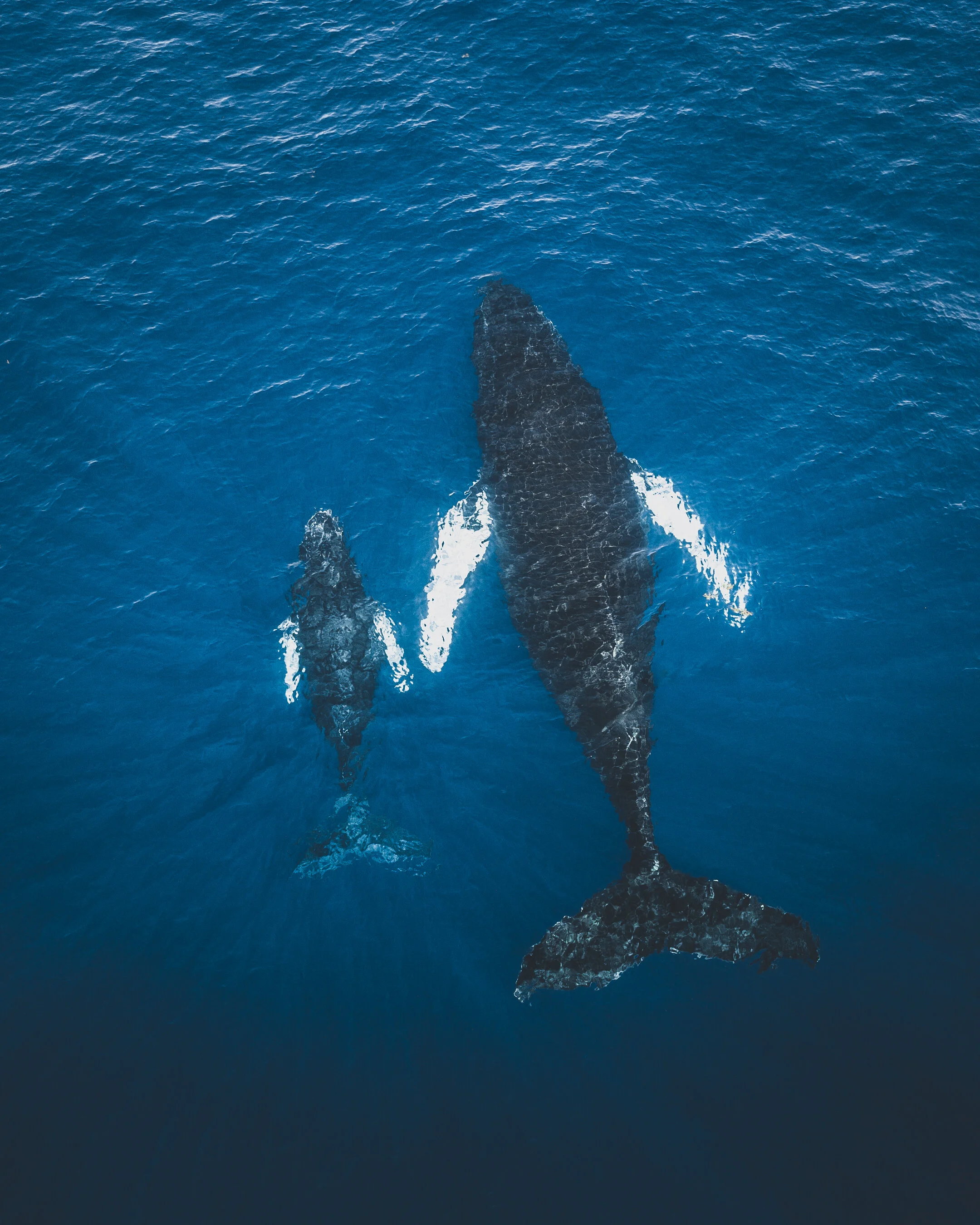 DJI_0091.jpg