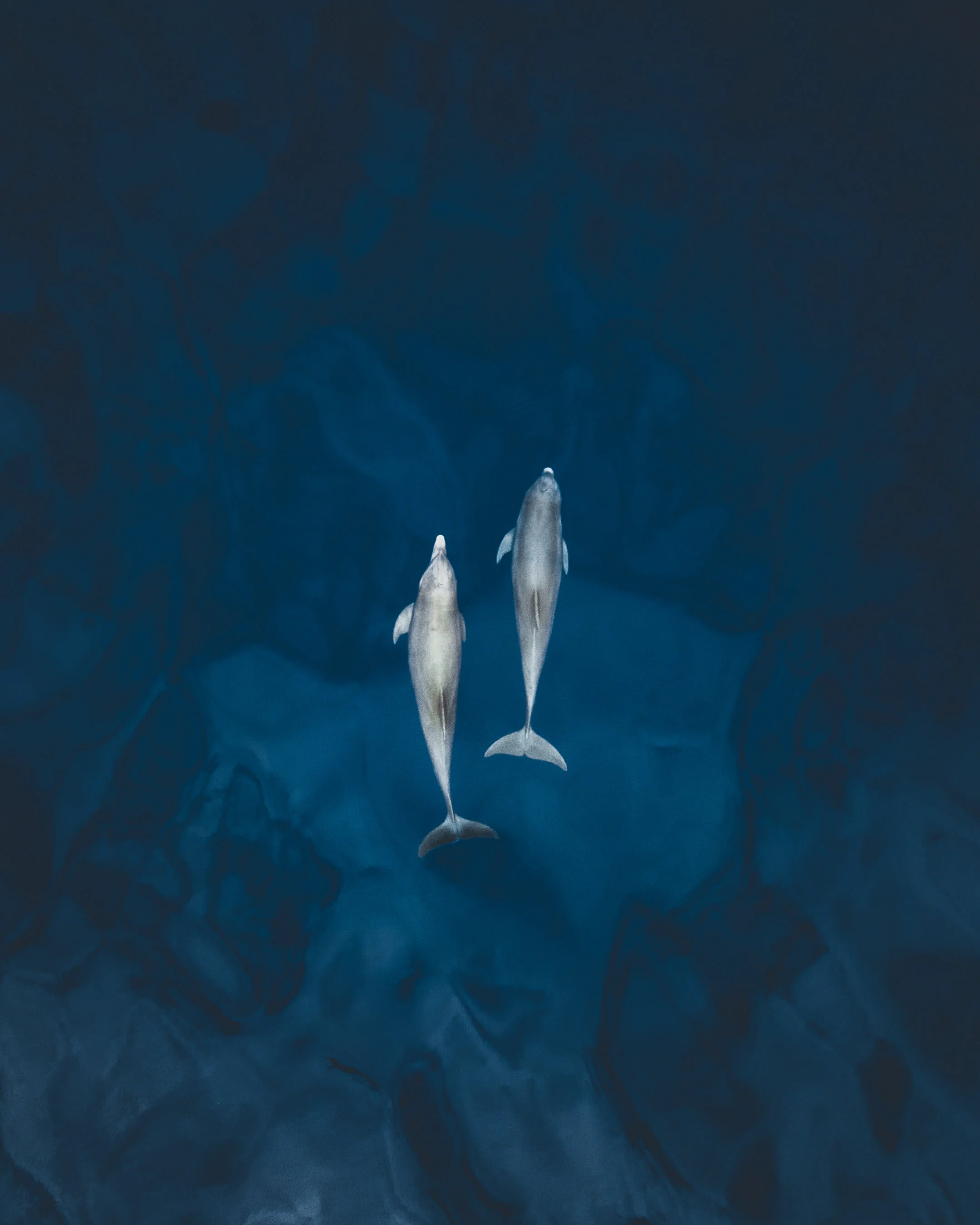 DJI_0113.jpg