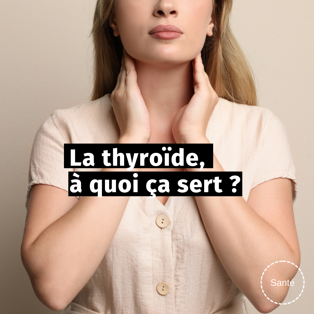 La thyroïde, à quoi ça sert ?&nbsp;