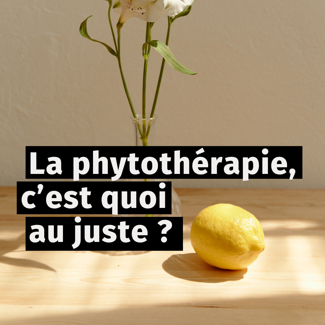 La phytothérapie, c’est quoi au juste ?