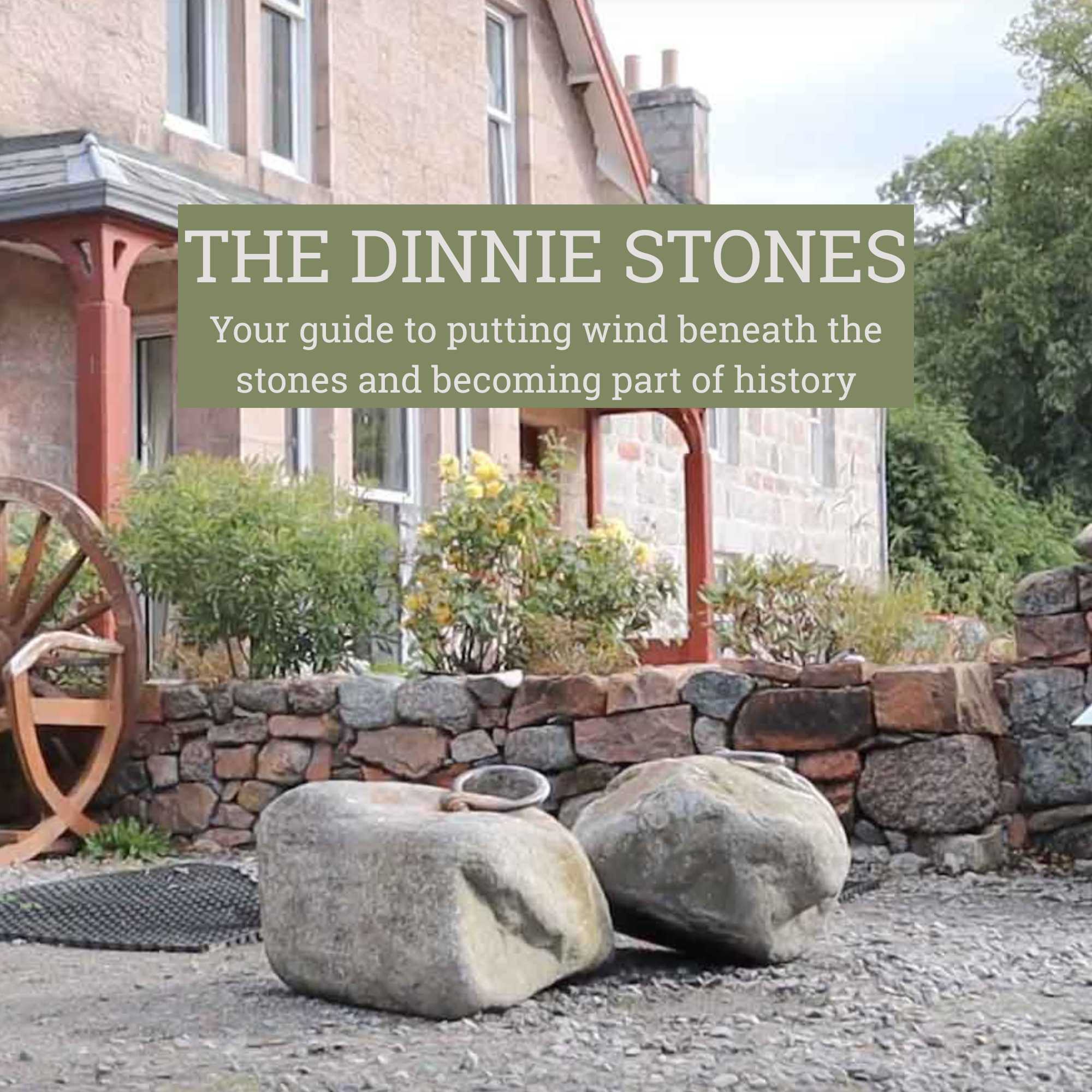 The Dinnies | 8-Week Dinnie Stone Program by Savage Strength — Savage ...